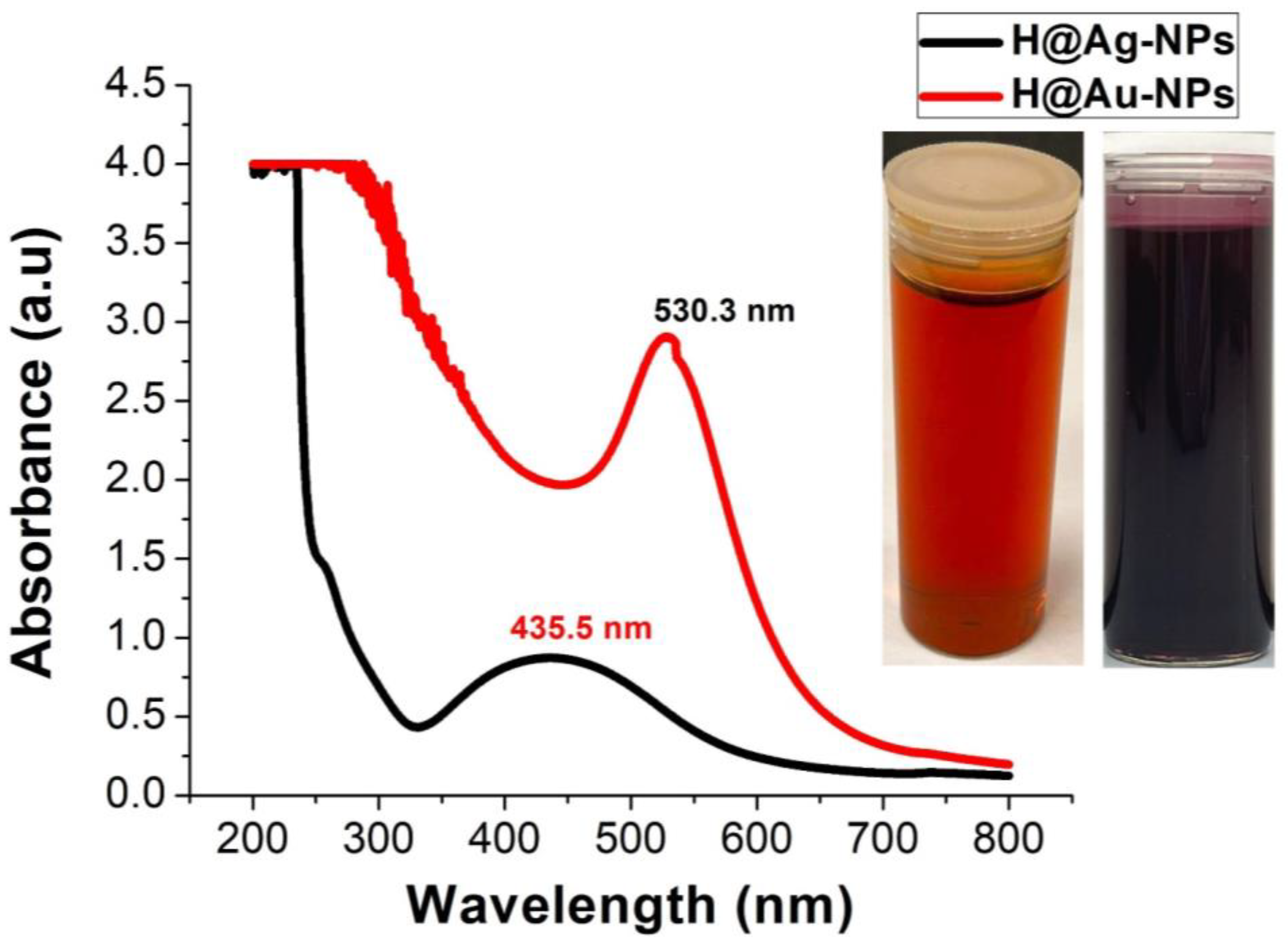Pharmaceutics 15 00529 g002