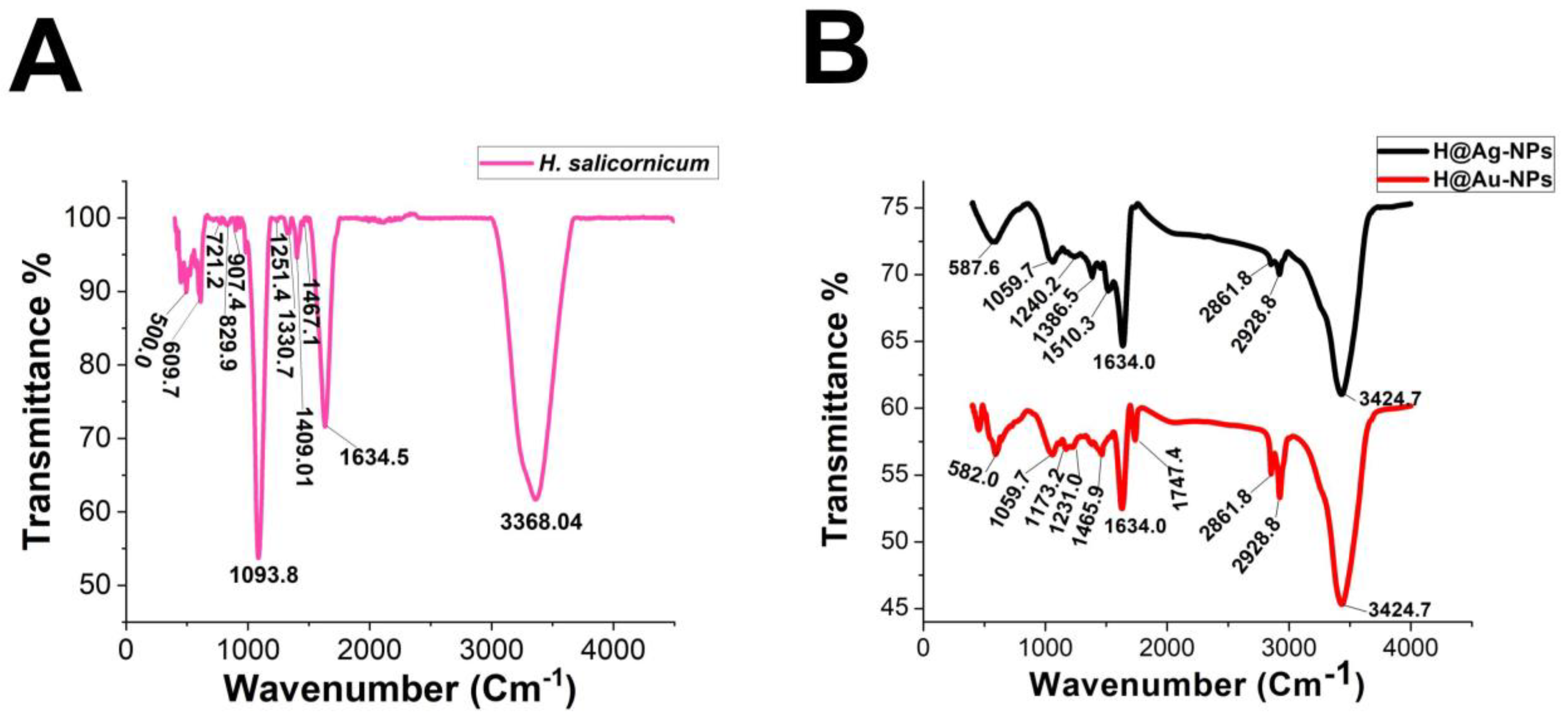 Pharmaceutics 15 00529 g004