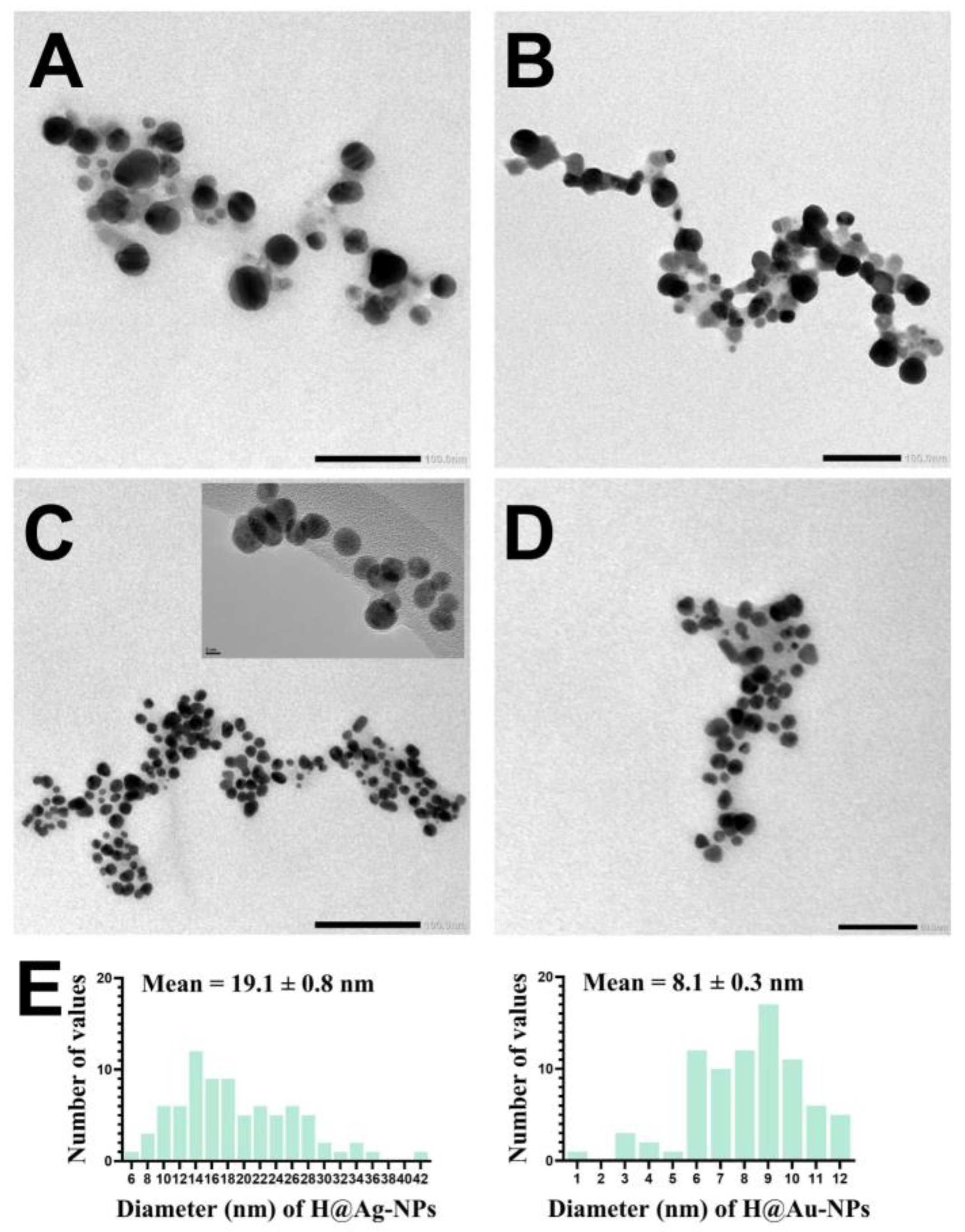 Pharmaceutics 15 00529 g005