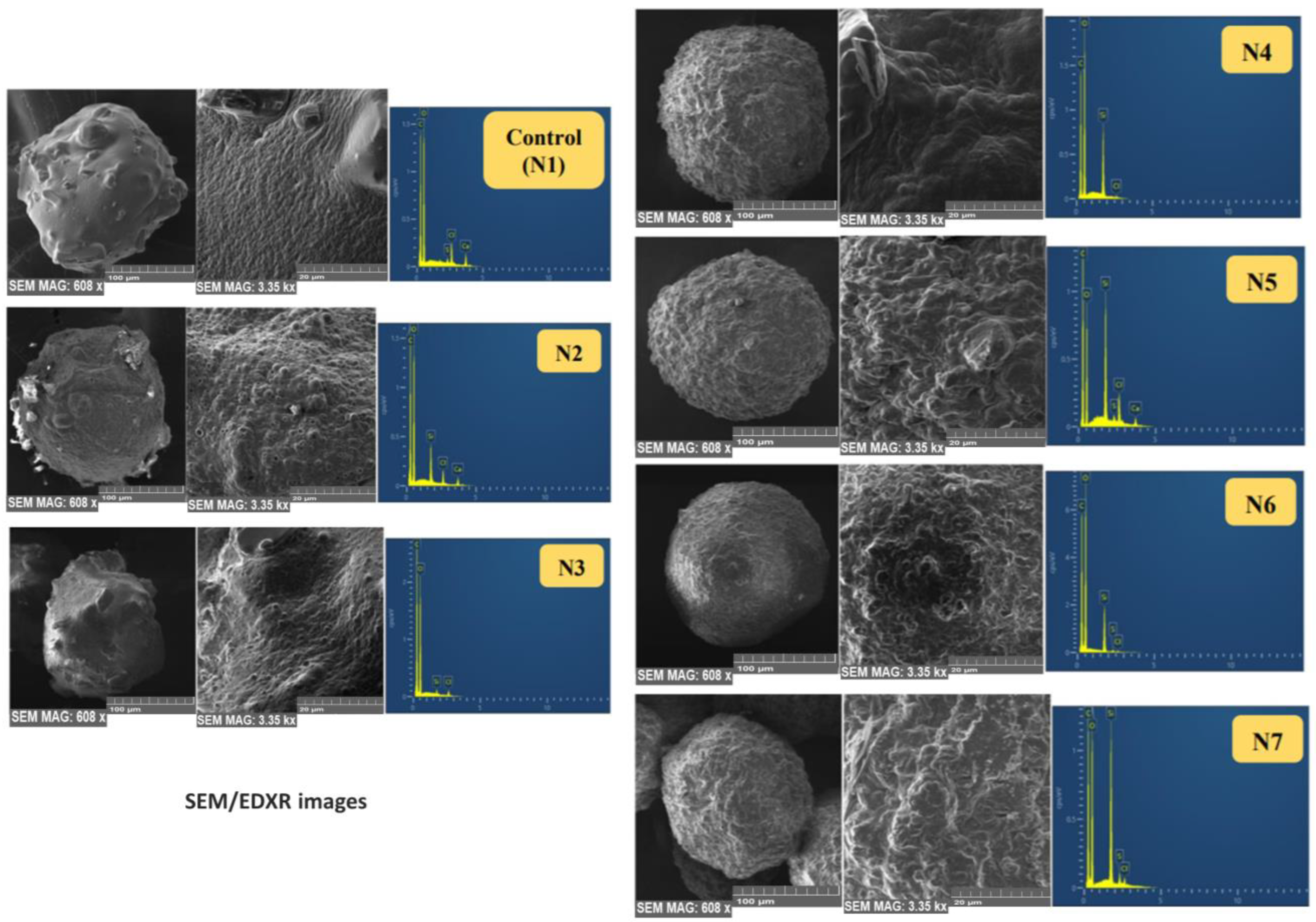 Pharmaceutics 15 00530 g009