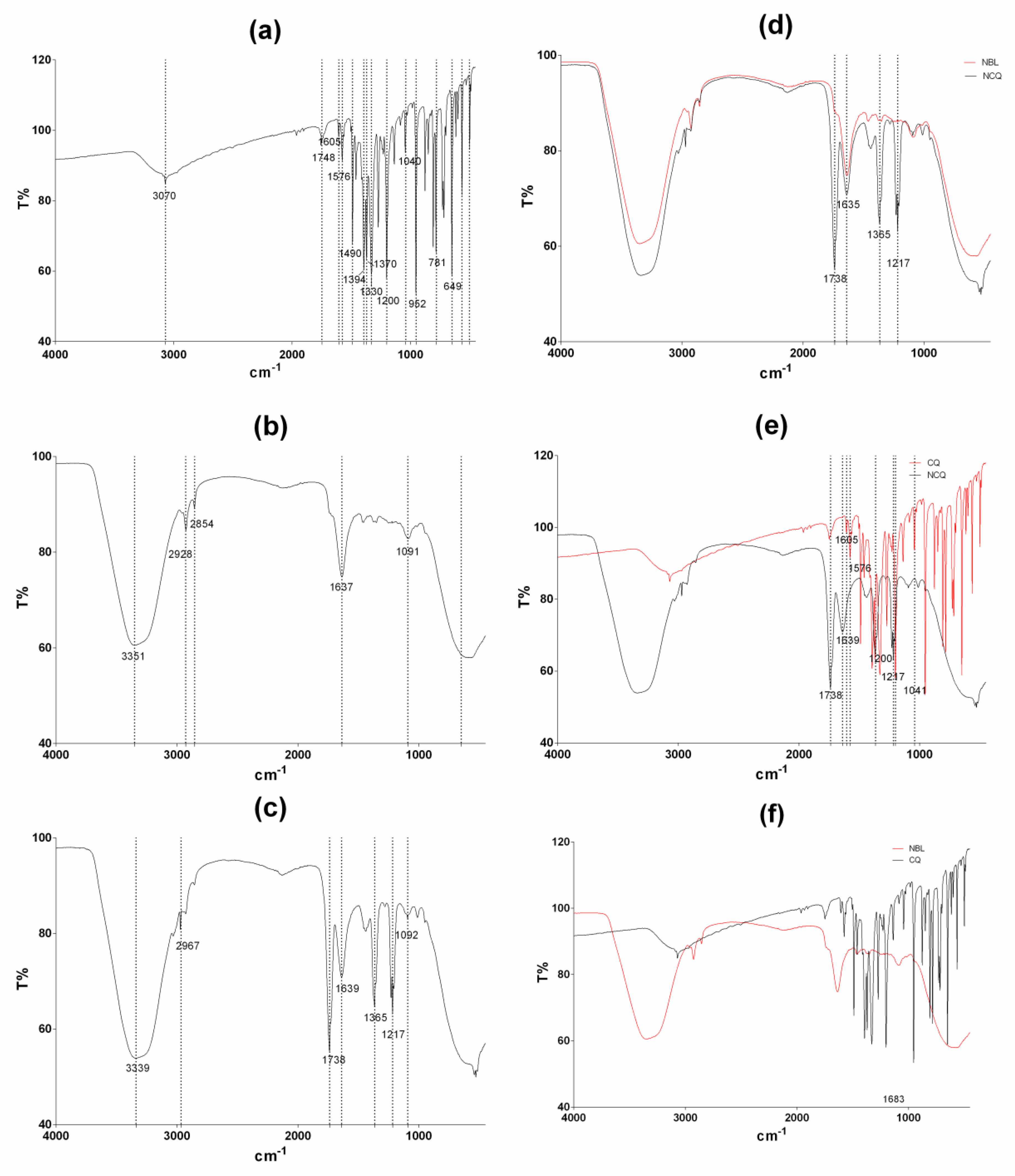 Pharmaceutics 15 00531 g003