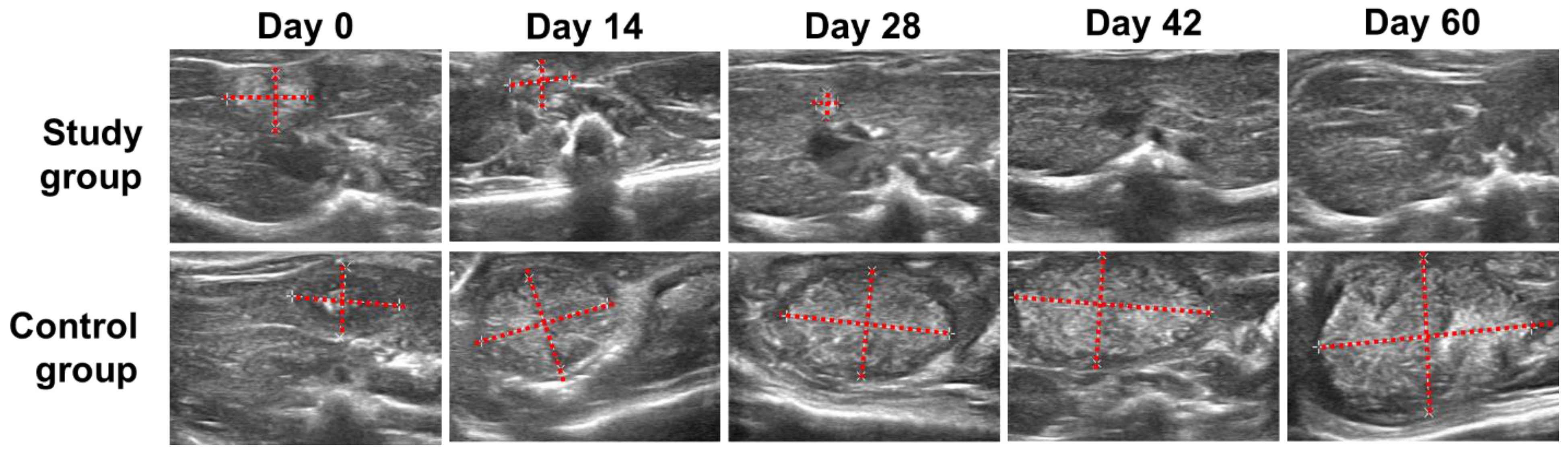 Pharmaceutics 15 00536 g001 550