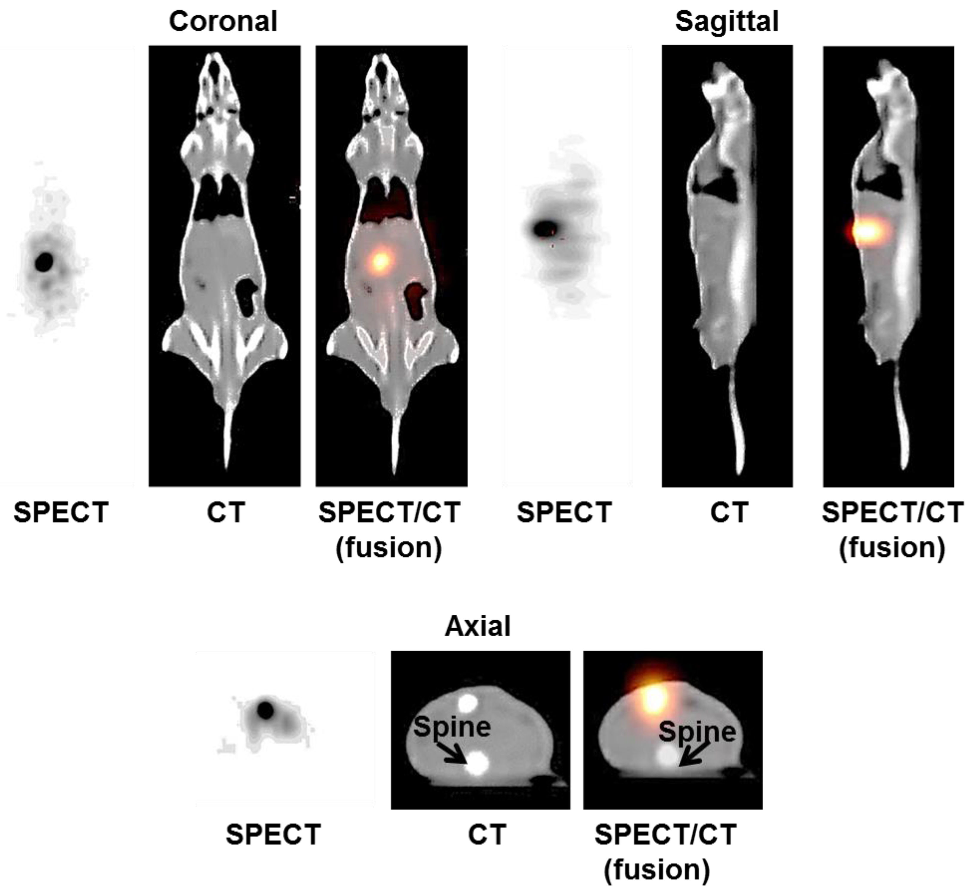 Pharmaceutics 15 00536 g003 550