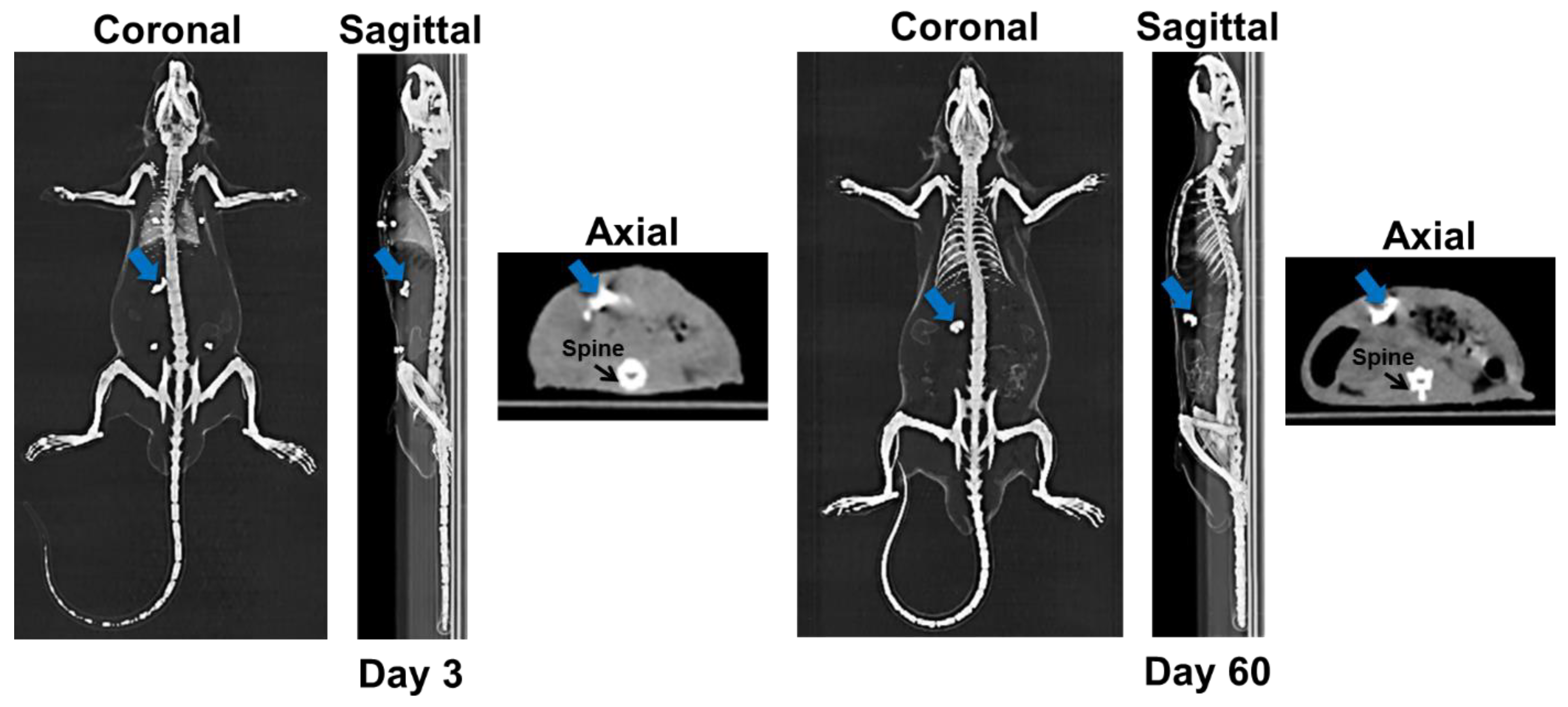 Pharmaceutics 15 00536 g004 550
