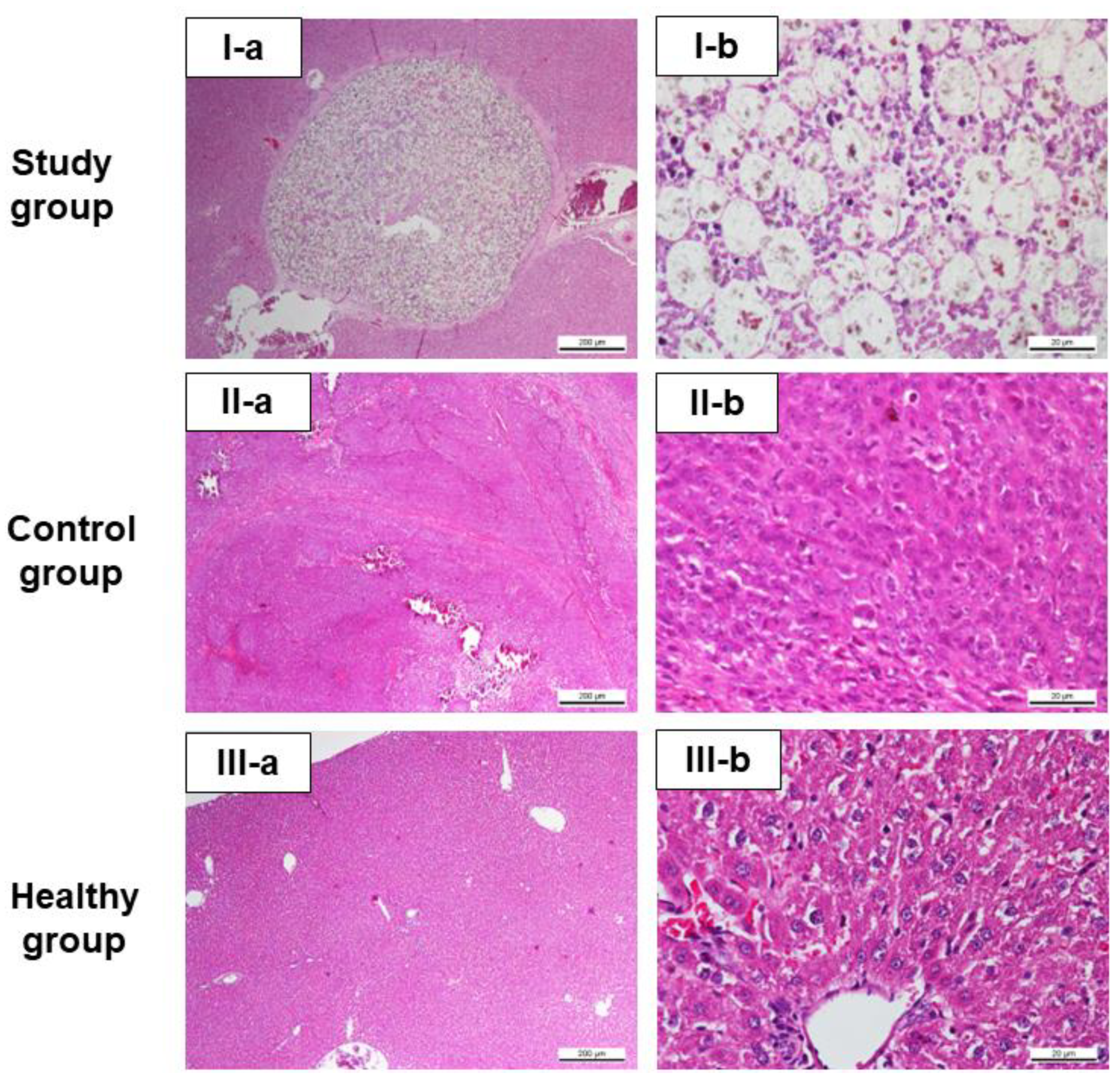 Pharmaceutics 15 00536 g006 550