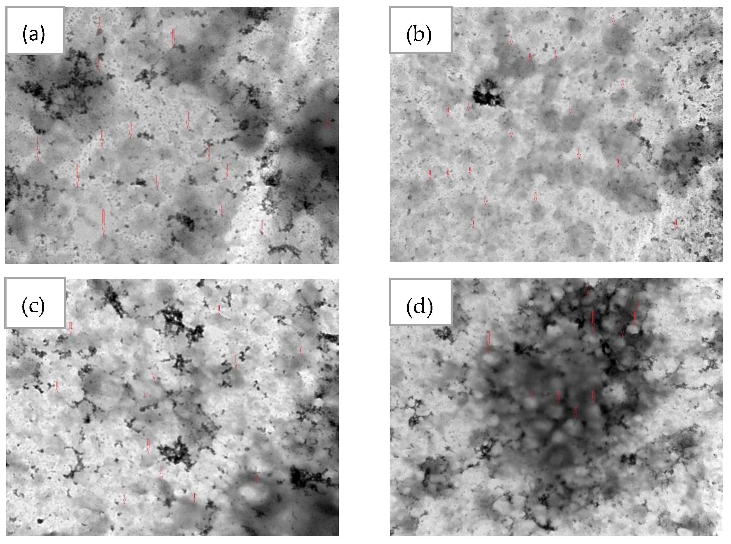 Pharmaceutics 15 00539 g007 Pharmaceutics 15 00539 g007