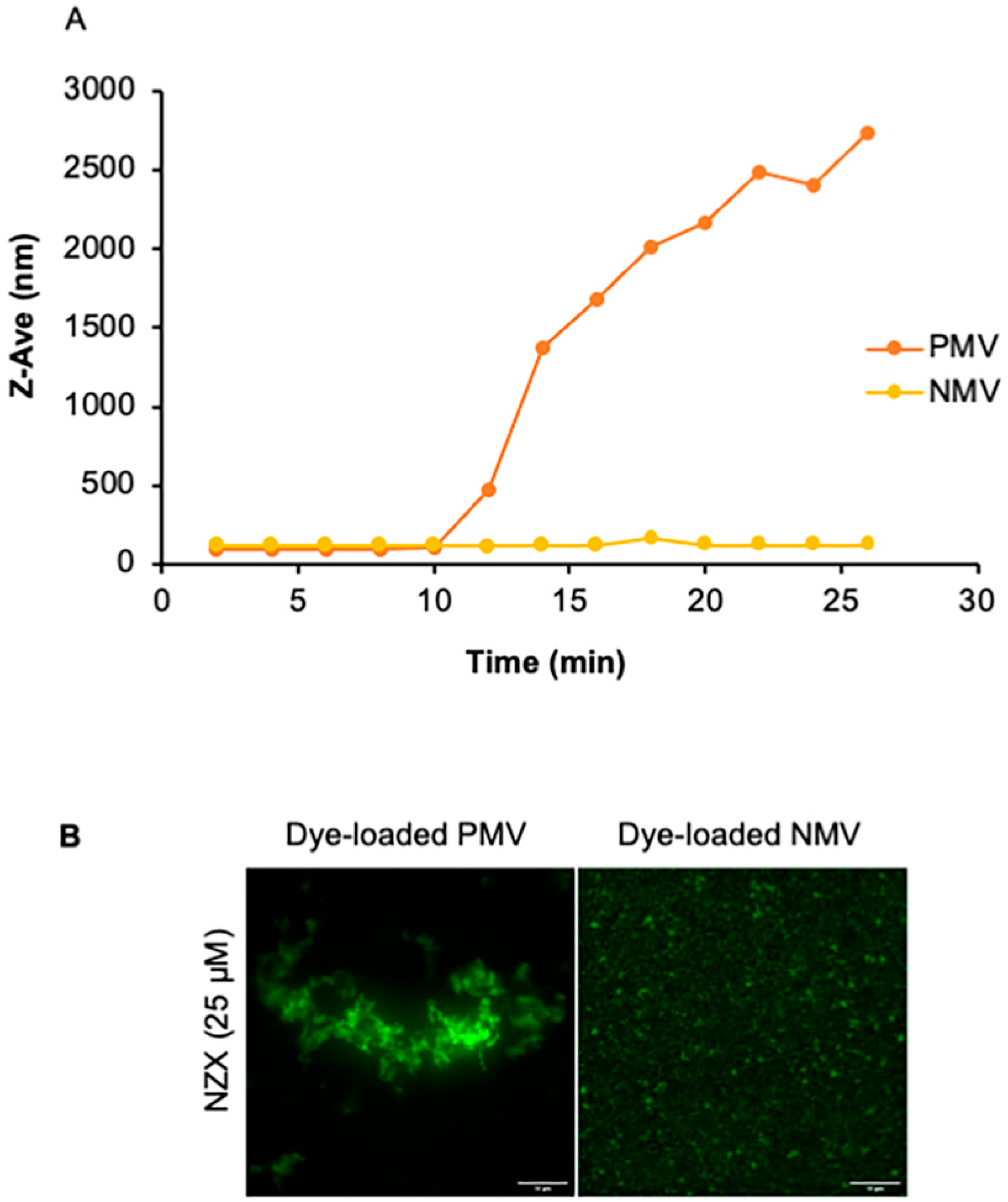 Pharmaceutics 15 00540 g004 Pharmaceutics 15 00540 g004