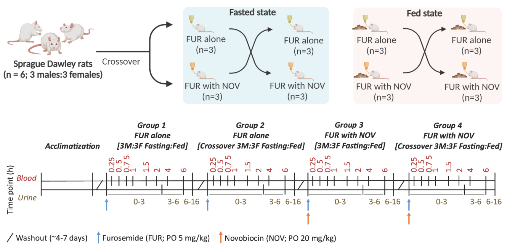 Pharmaceutics 15 00542 g001 Pharmaceutics 15 00542 g001