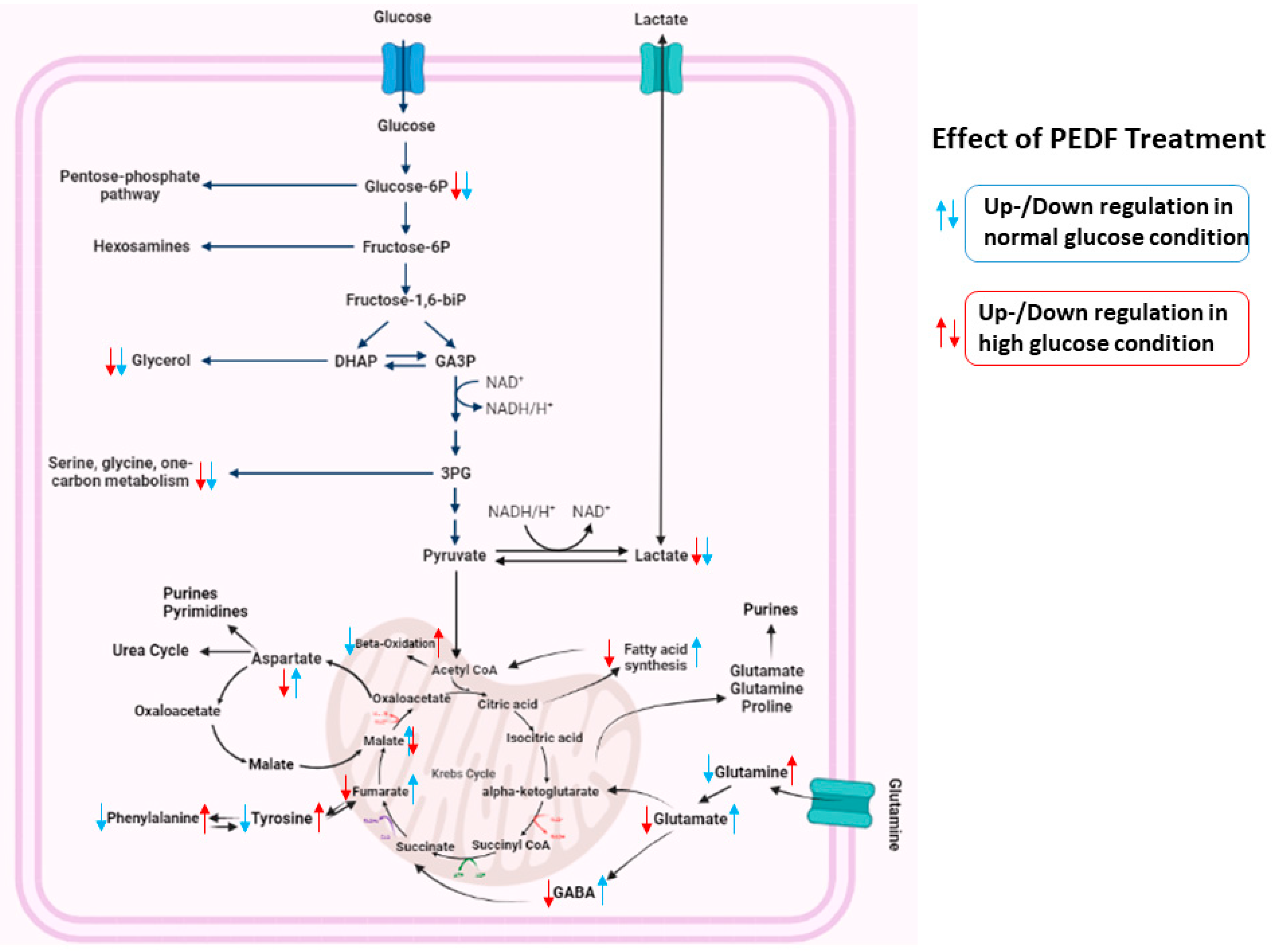 Pharmaceutics 15 00543 g005