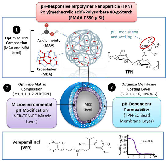 Pharmaceutics, Free Full-Text