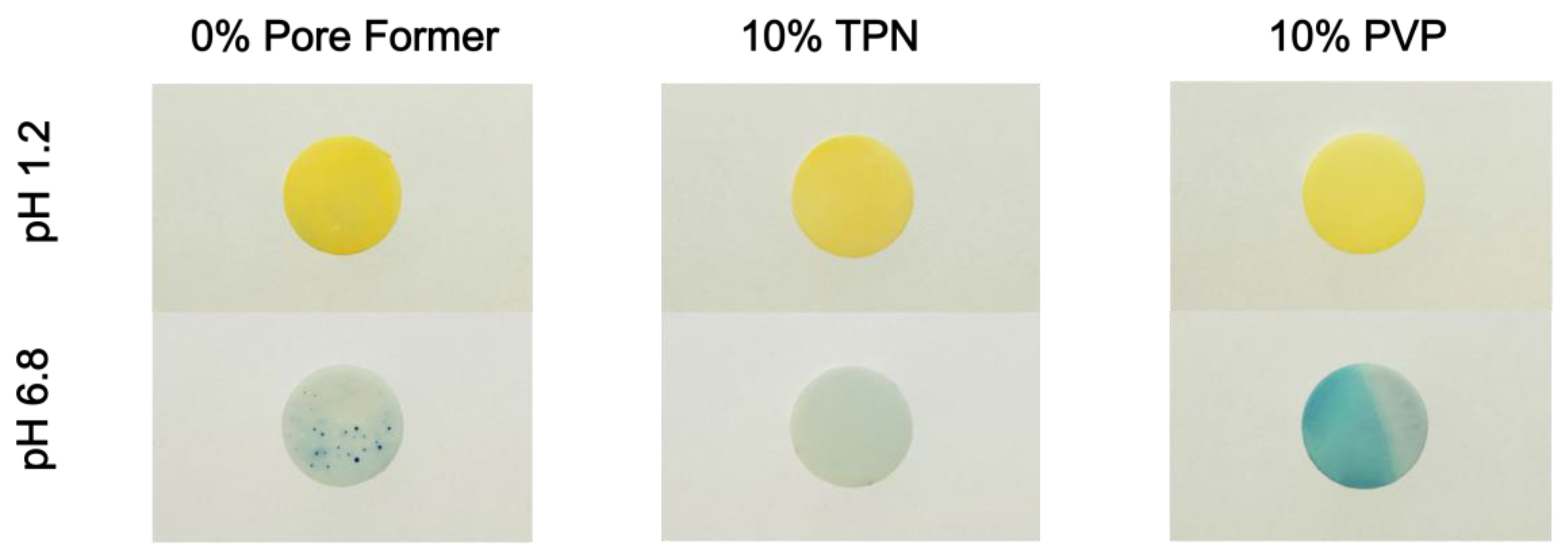 Pharmaceutics 15 00547 g005