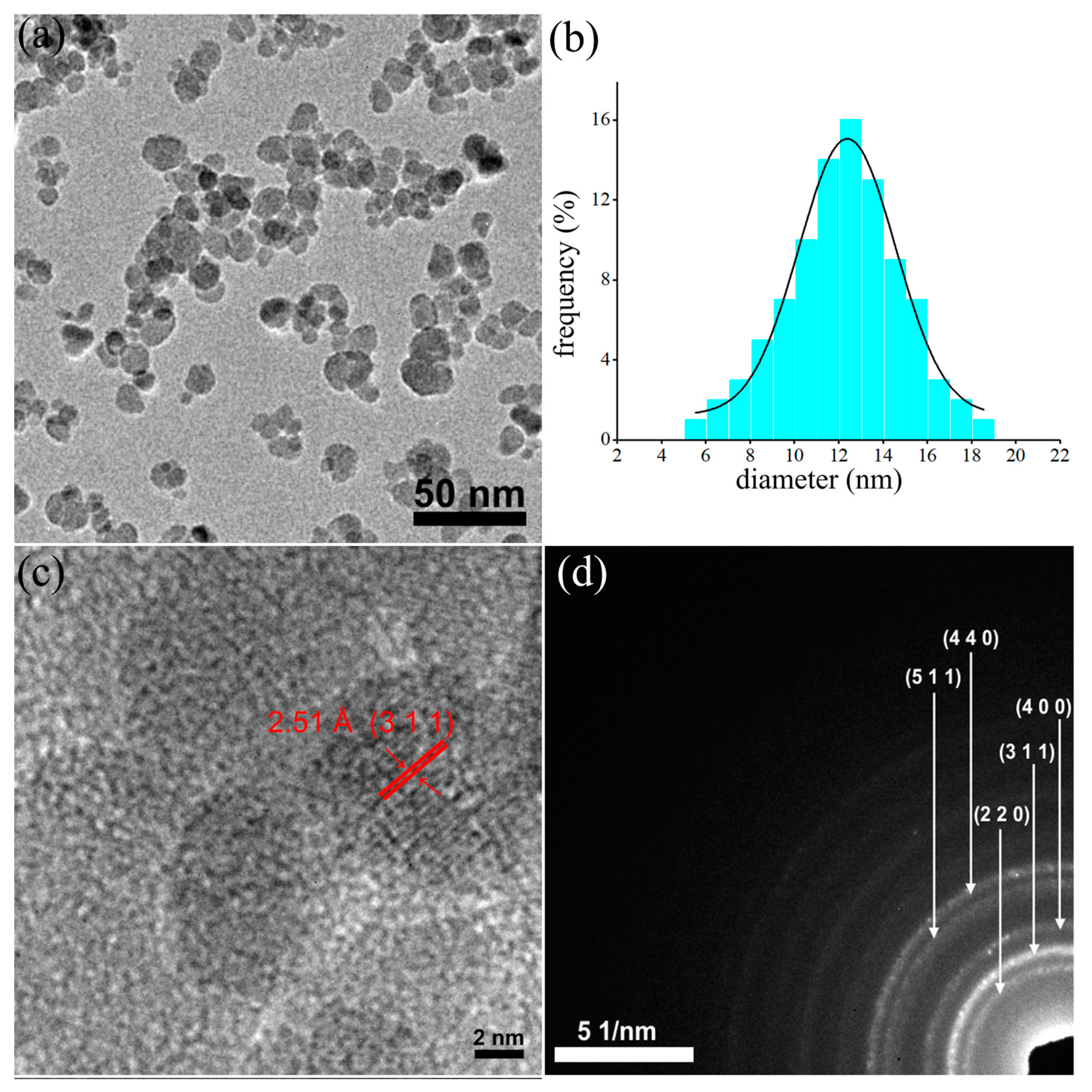 a) Fluorescence images of RAW 264.7 macrophages grown for 24 h and