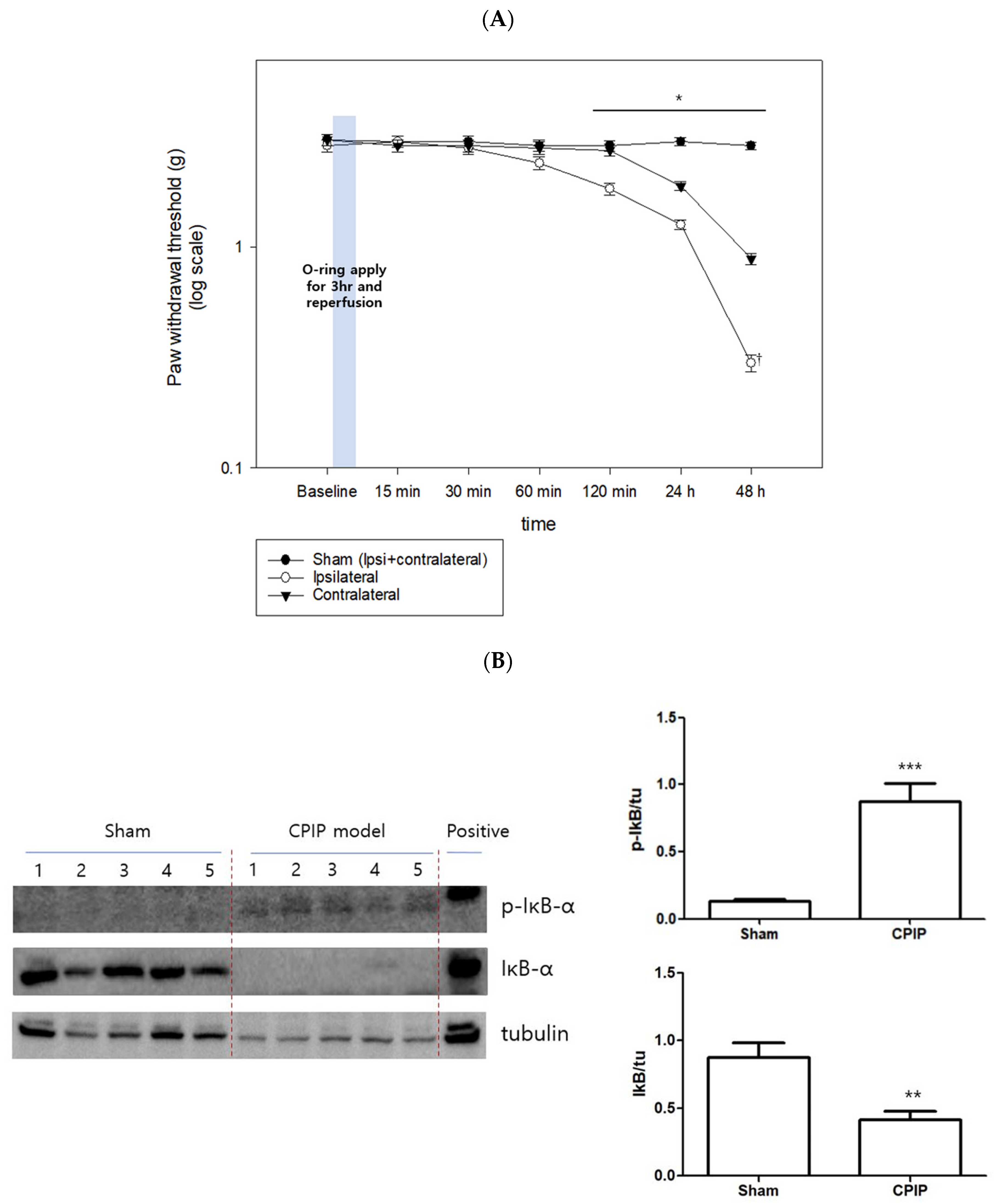 Pharmaceutics 15 00553 g004