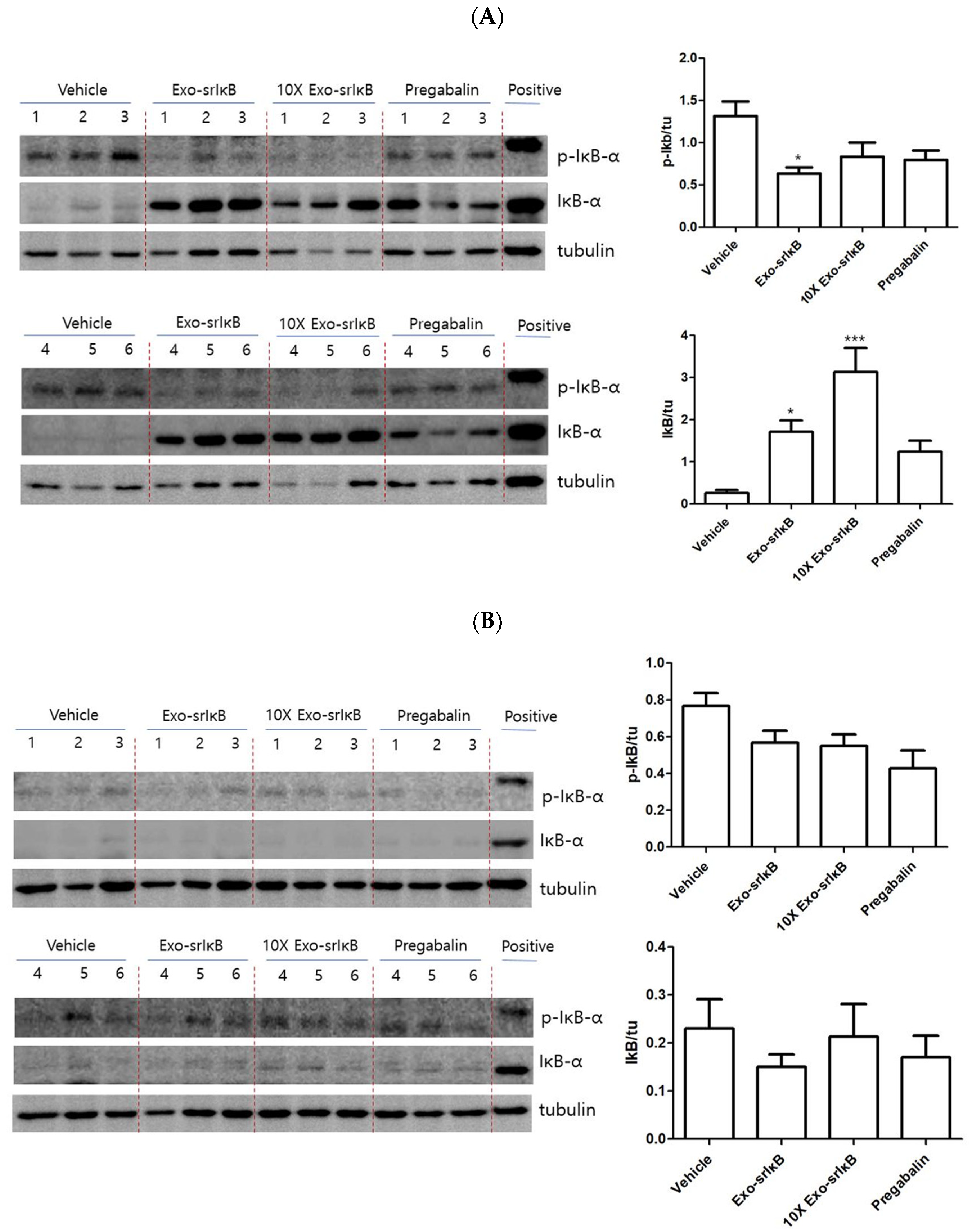 Pharmaceutics 15 00553 g006