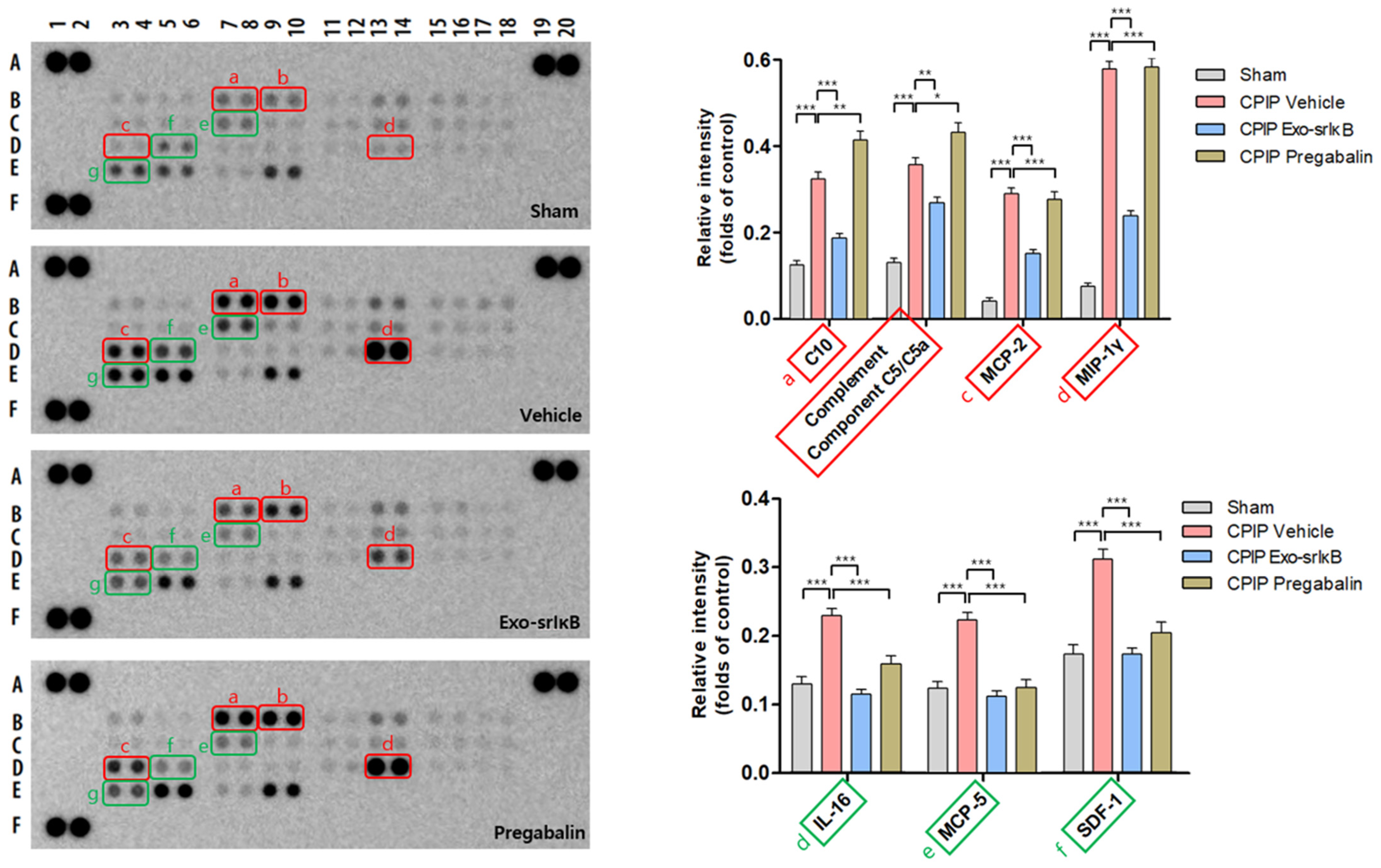 Pharmaceutics 15 00553 g008