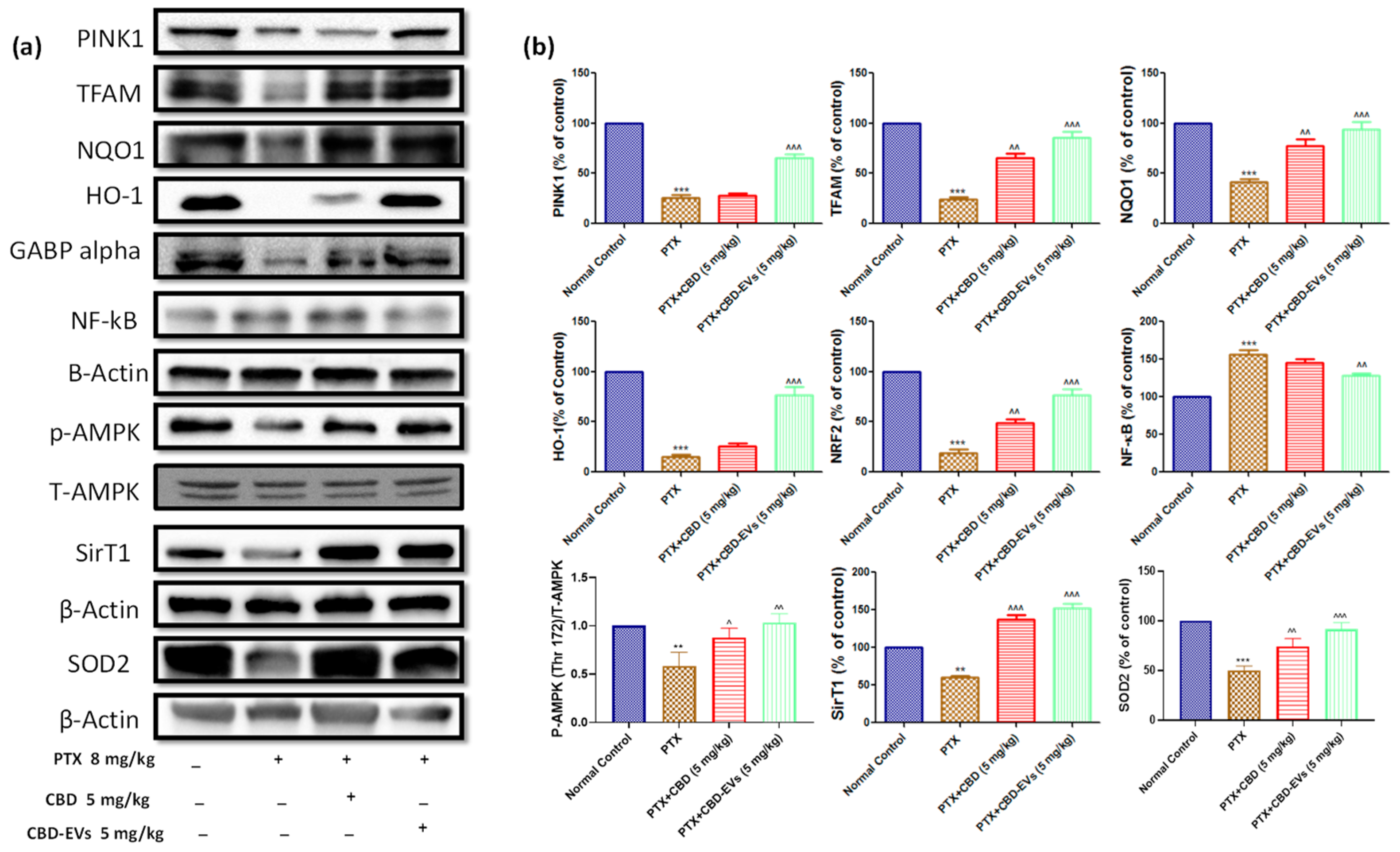 Pharmaceutics 15 00554 g005 Pharmaceutics 15 00554 g005