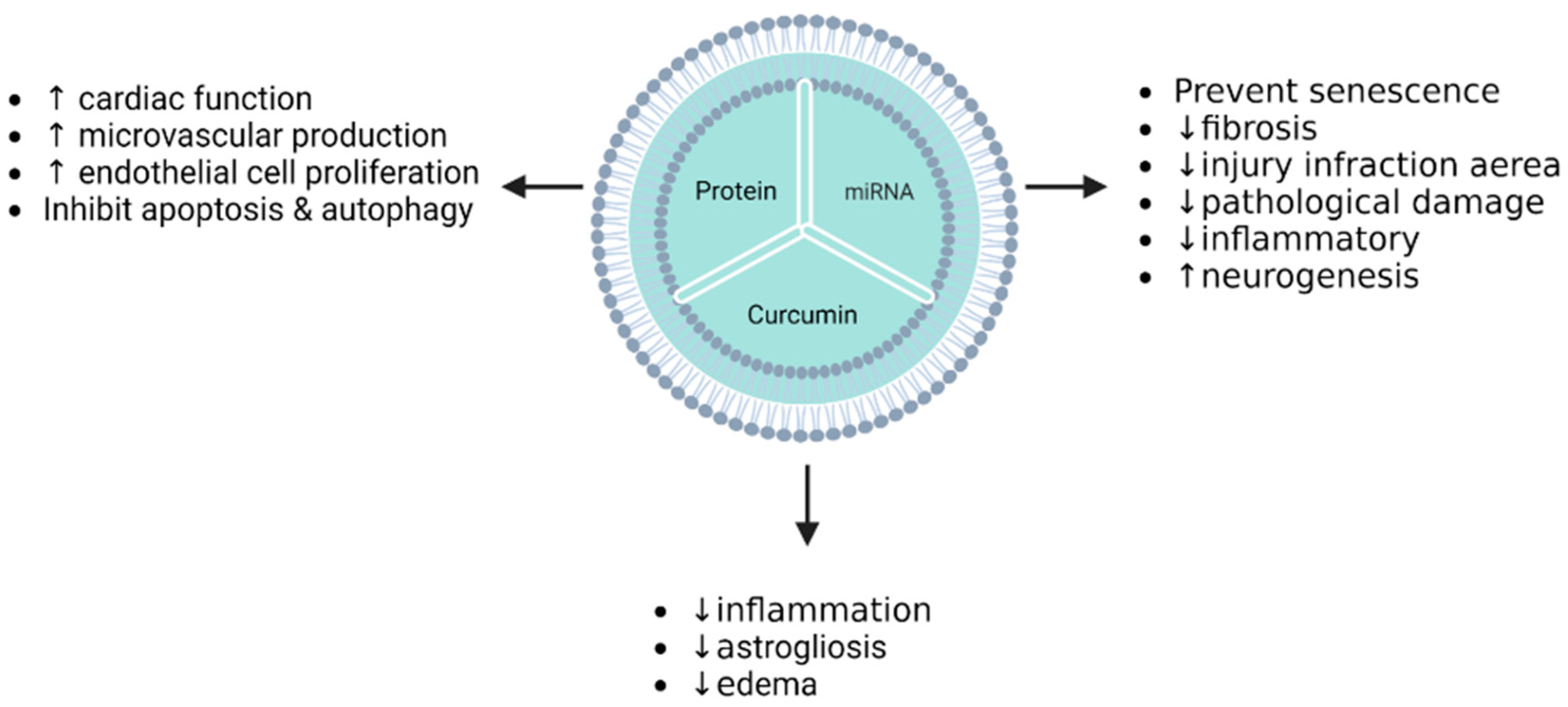 Potential of Mesenchymal Stromal Cell-Derived Extracellular Potential of Mesenchymal Stromal Cell-Derived Extracellular