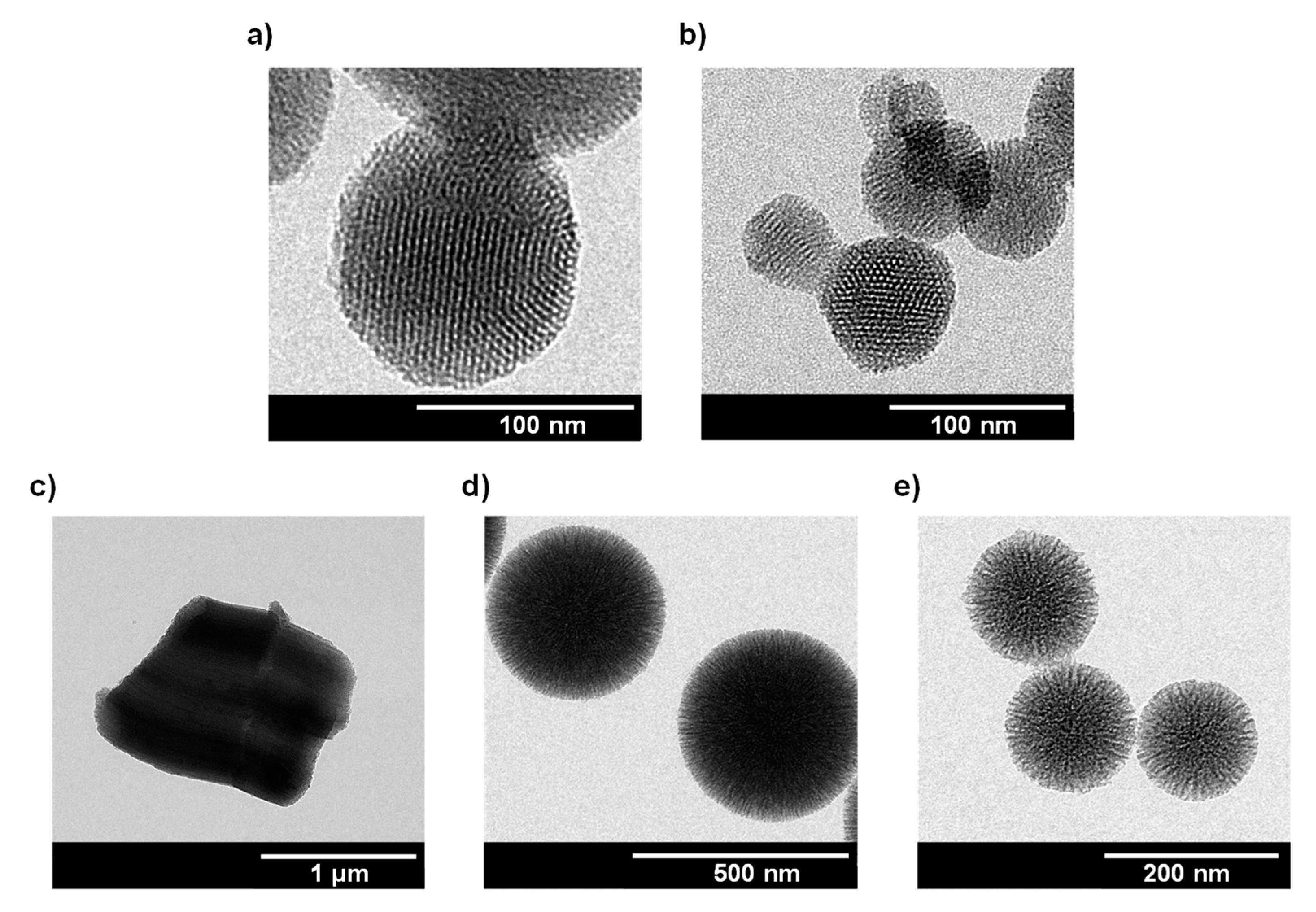 Pharmaceutics 15 00560 g001
