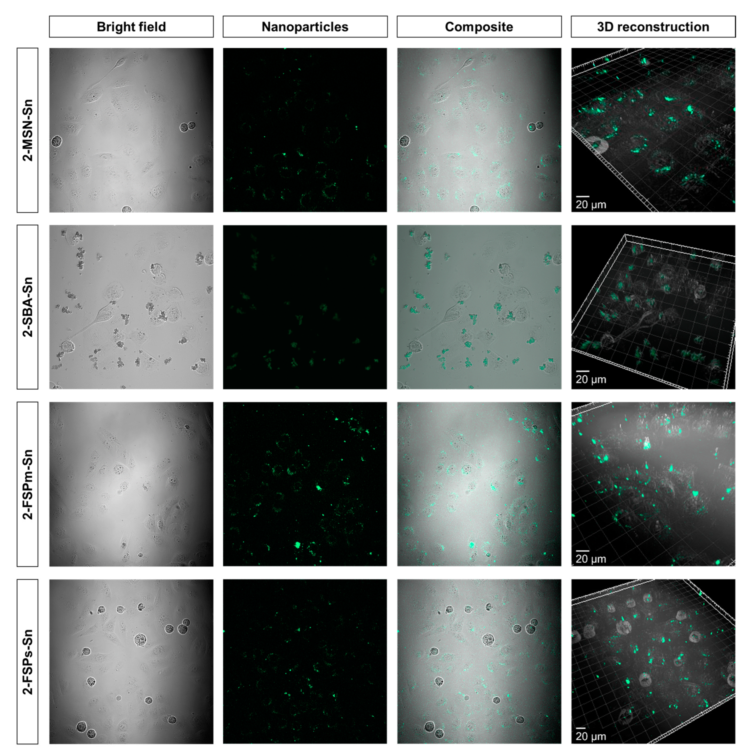 Pharmaceutics 15 00560 g007