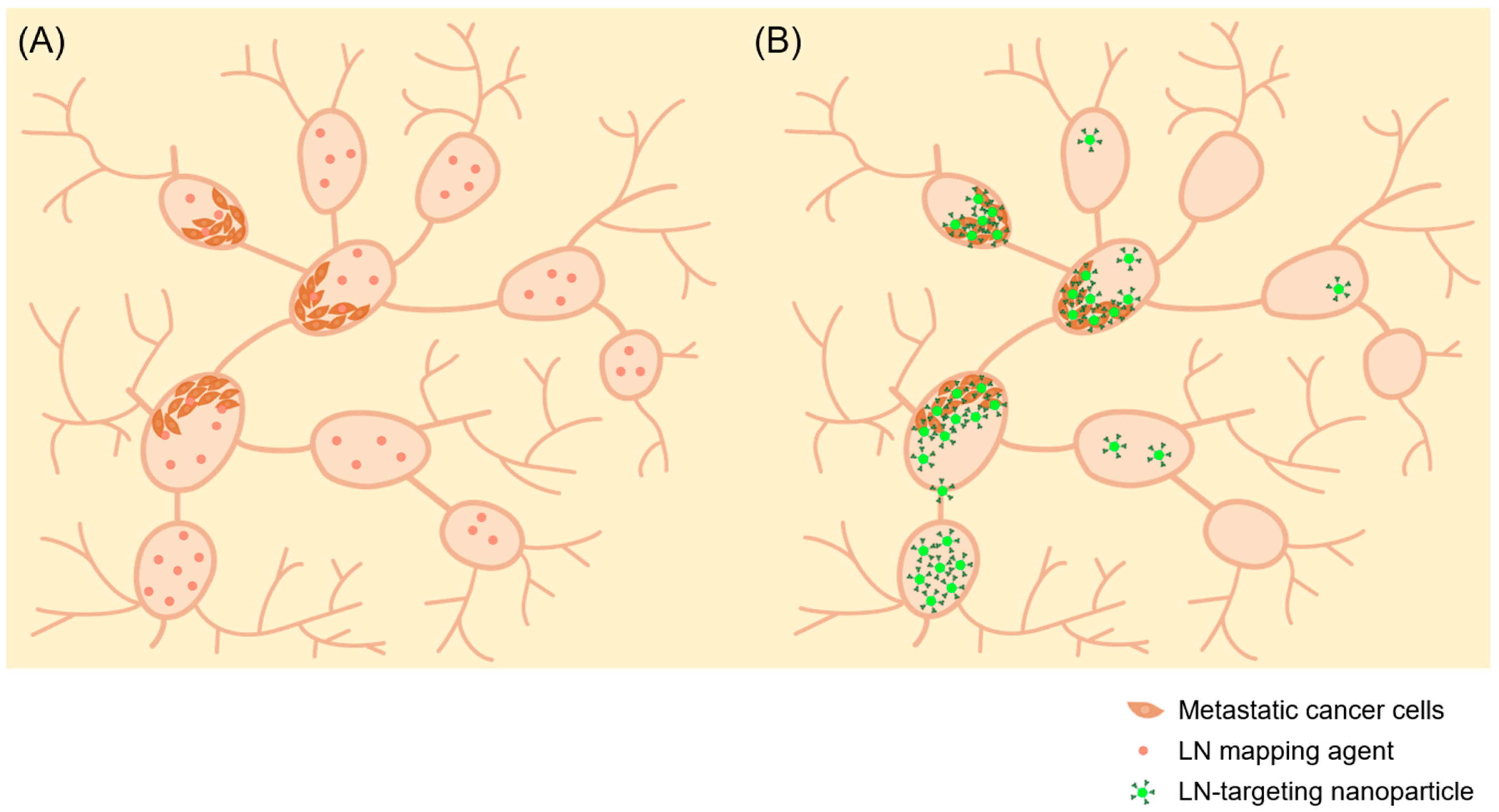 Nanoparticles for Lymph Node Directed - Pharmaceutics 15 00565 G001