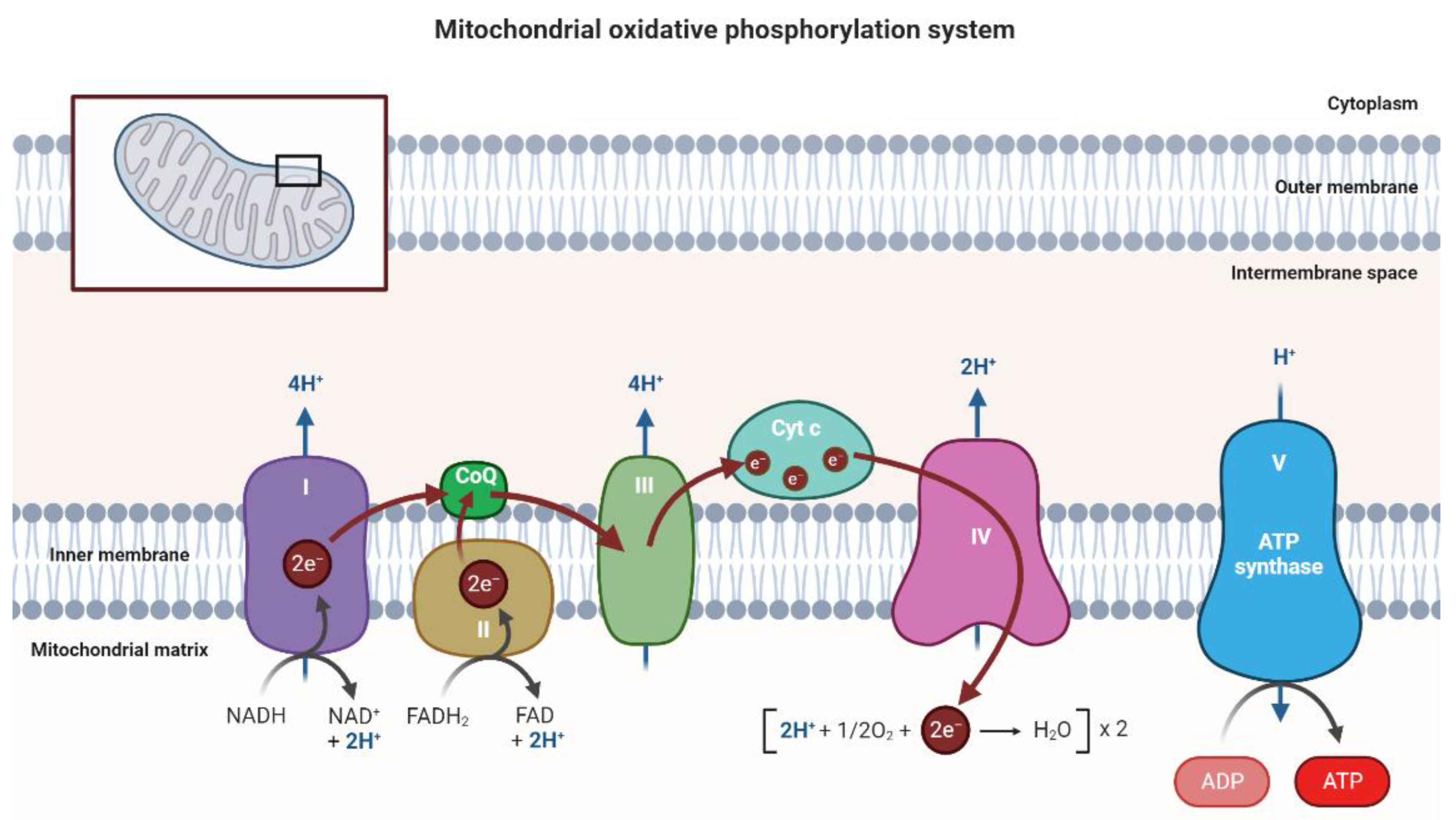 Pharmaceutics 15 00572 g001