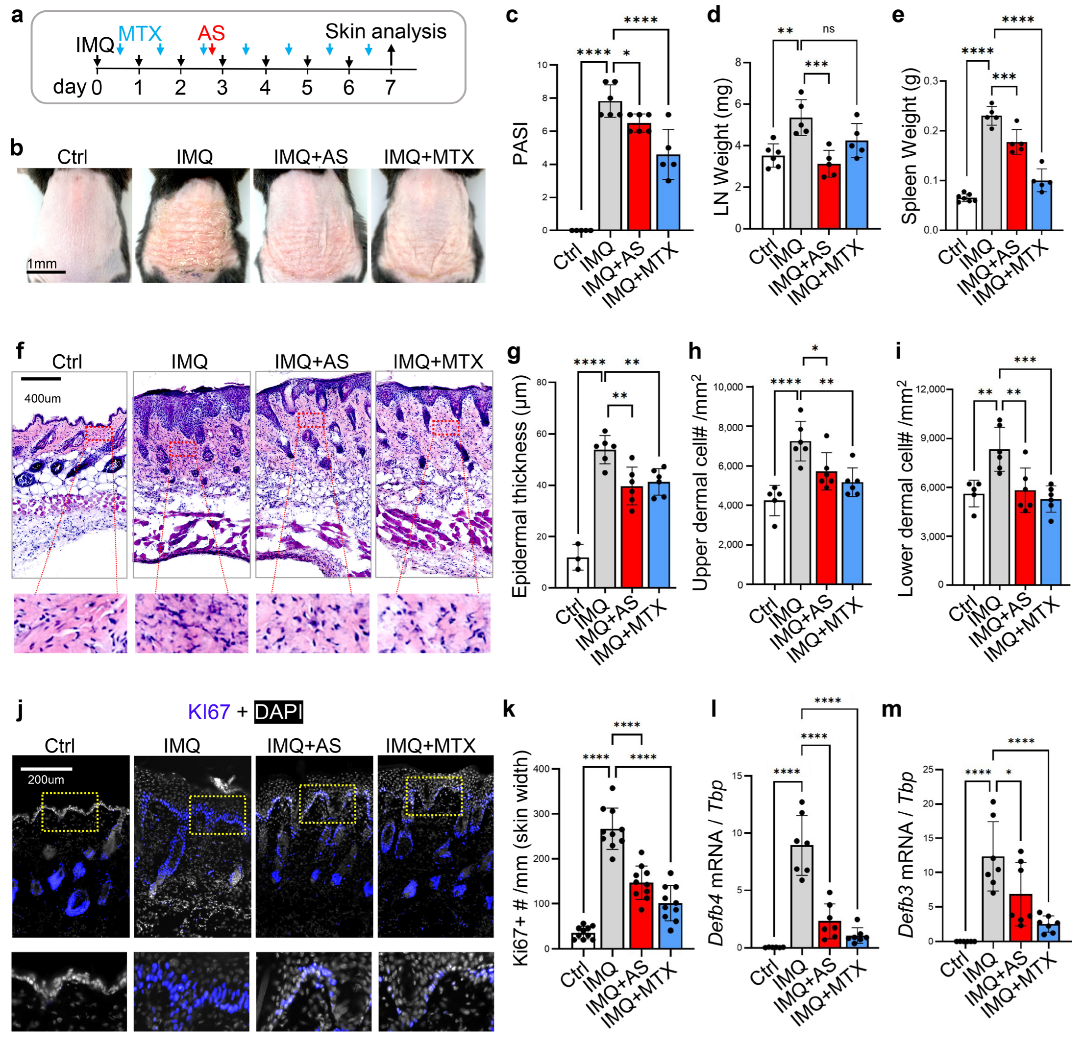 Pharmaceutics 15 00576 g001