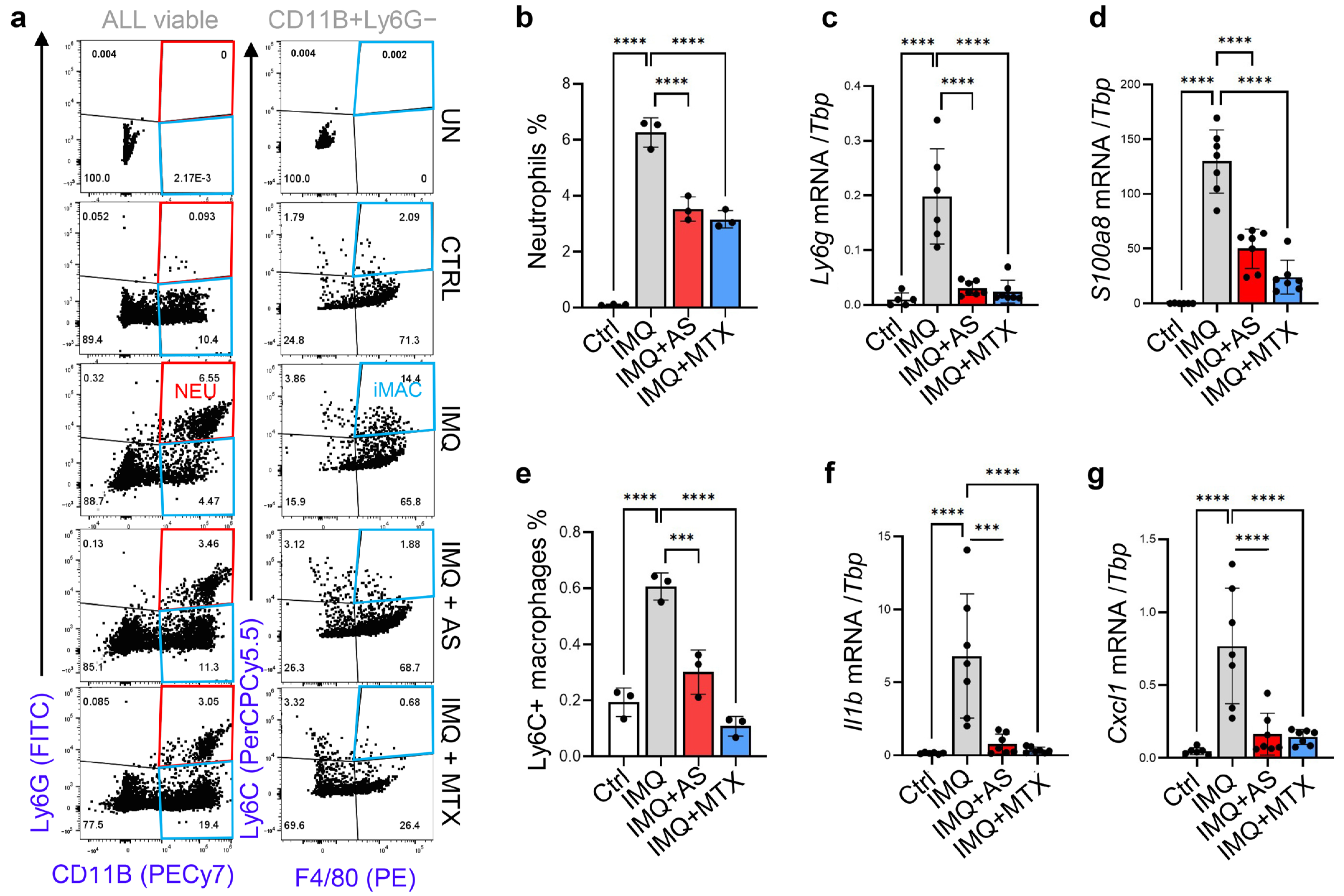 Pharmaceutics 15 00576 g003