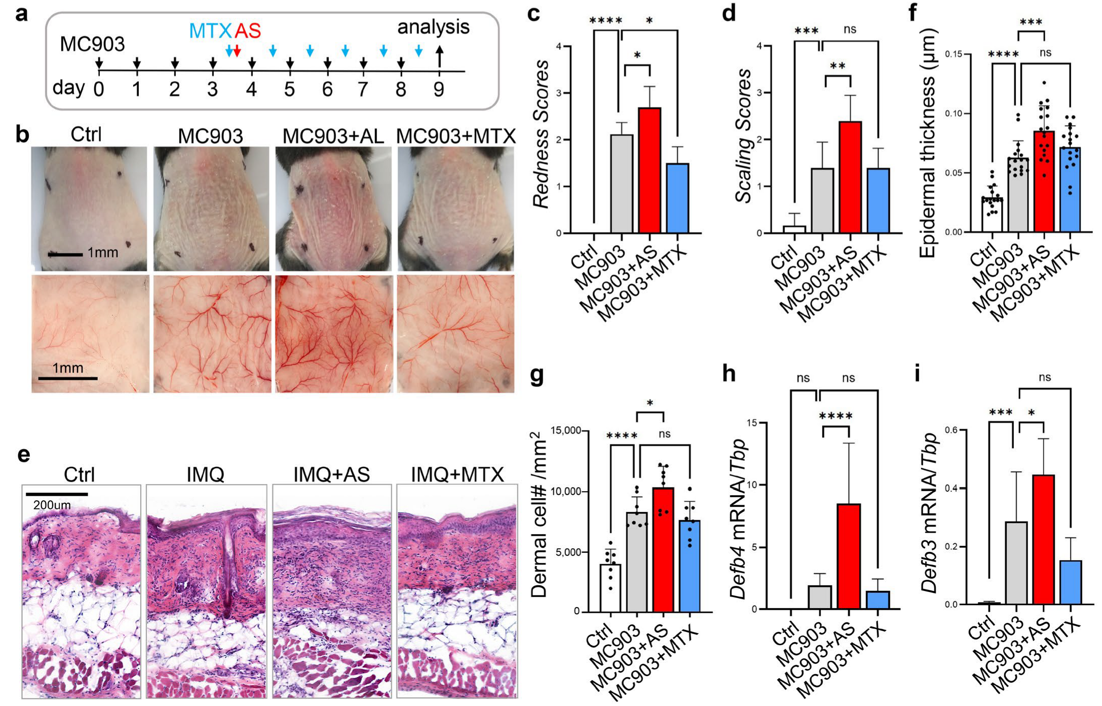 Pharmaceutics 15 00576 g004