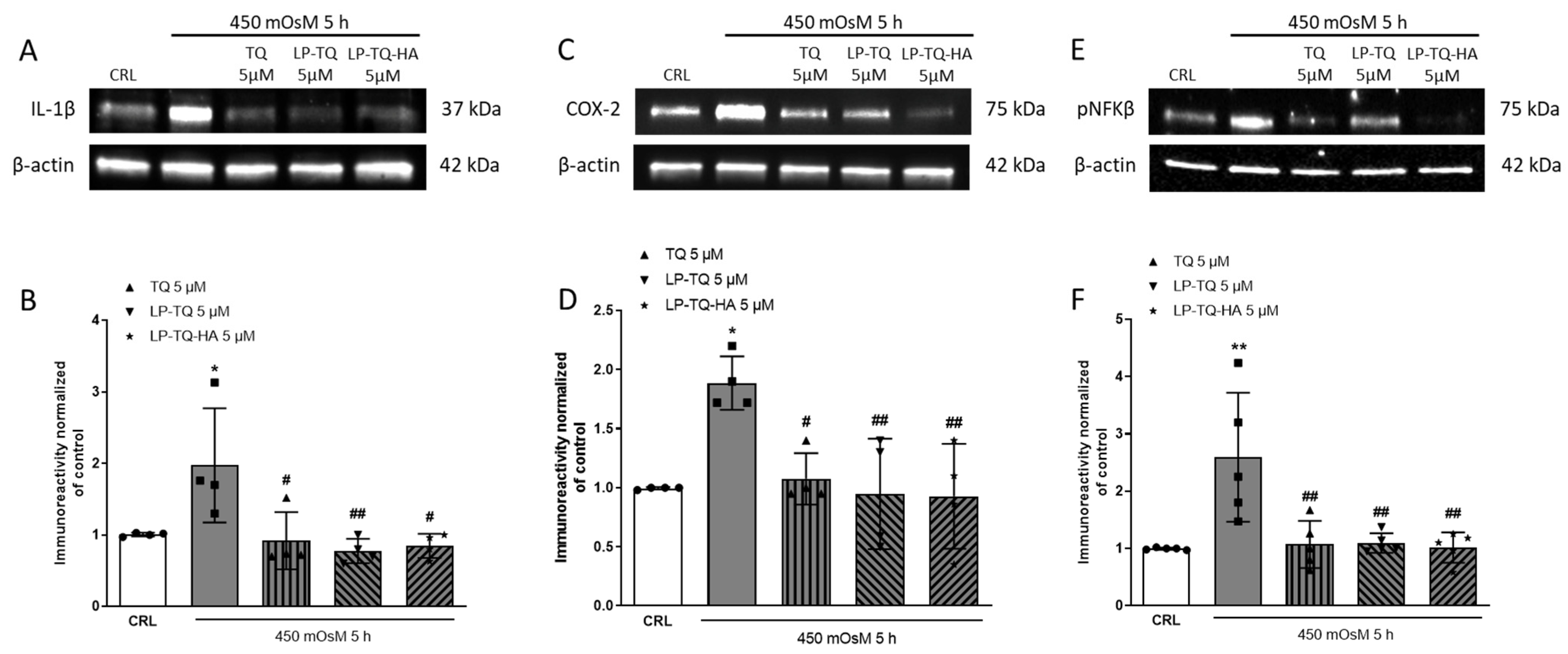 Pharmaceutics 15 00578 g003 550