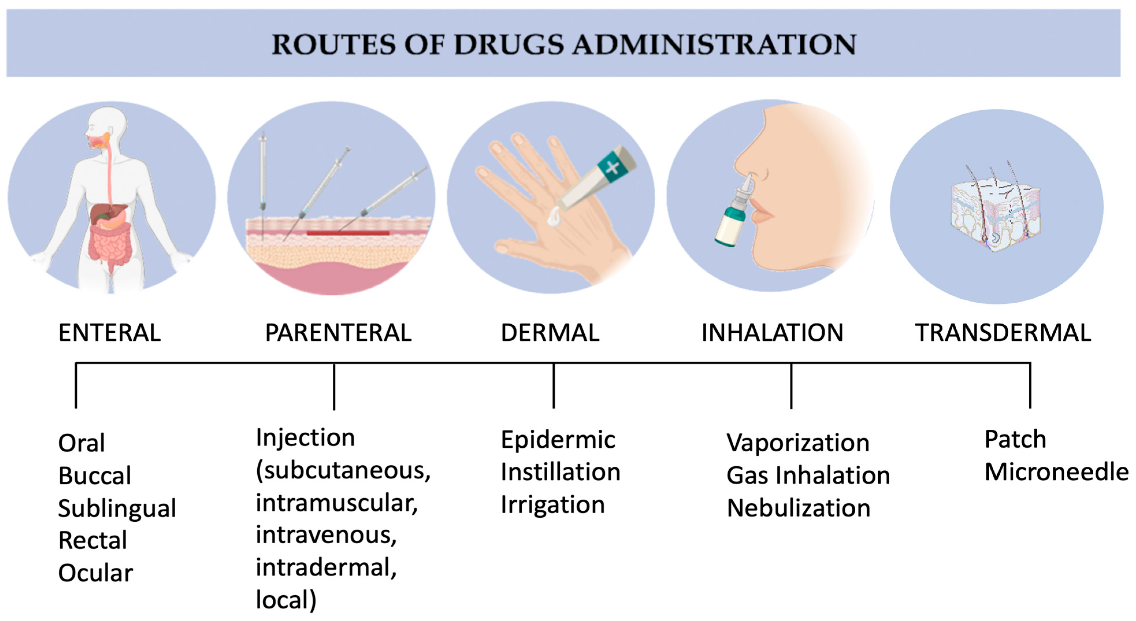 A sustainable solution to skin diseases ecofriendly transdermal patches