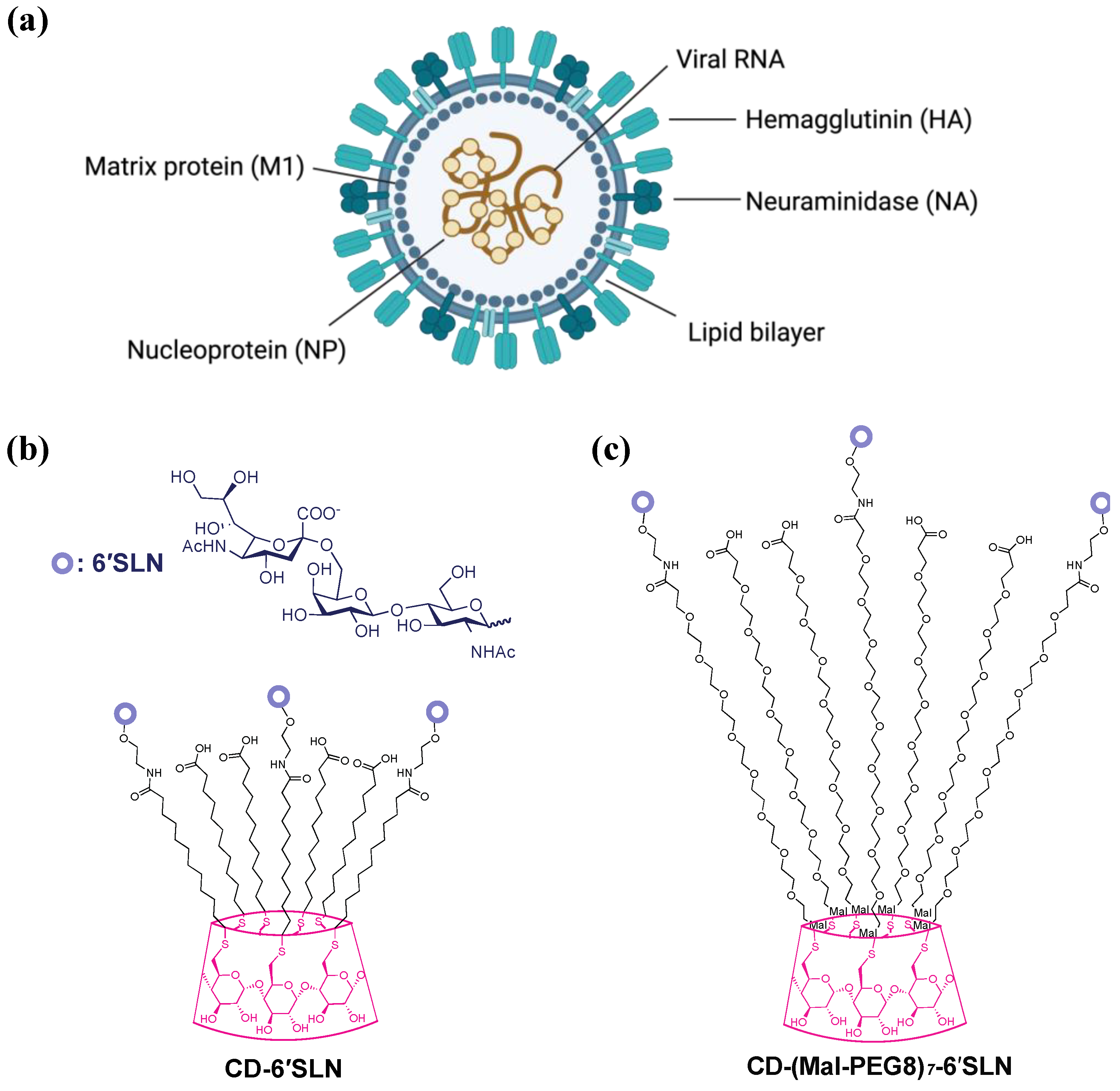 Pharmaceutics 15 00582 g001