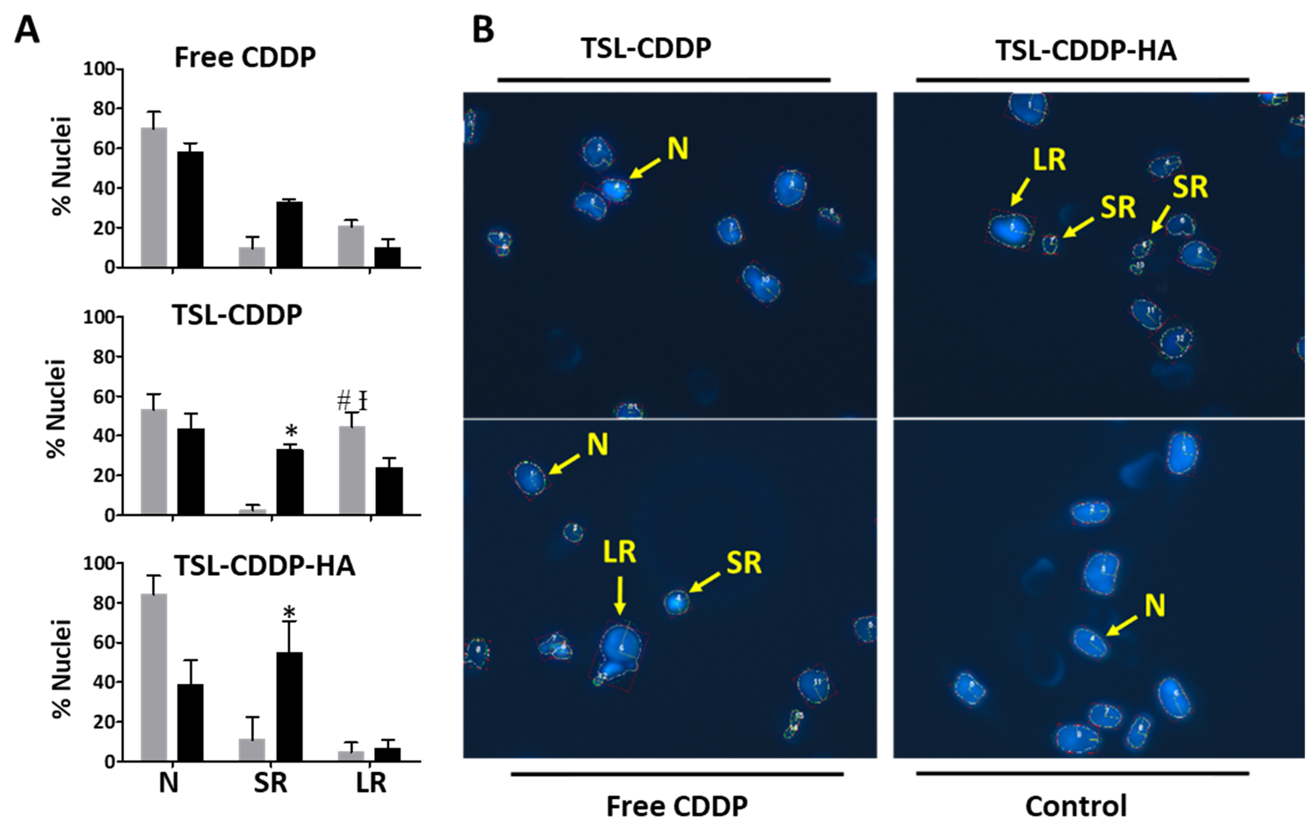 Pharmaceutics 15 00583 g002 Pharmaceutics 15 00583 g002