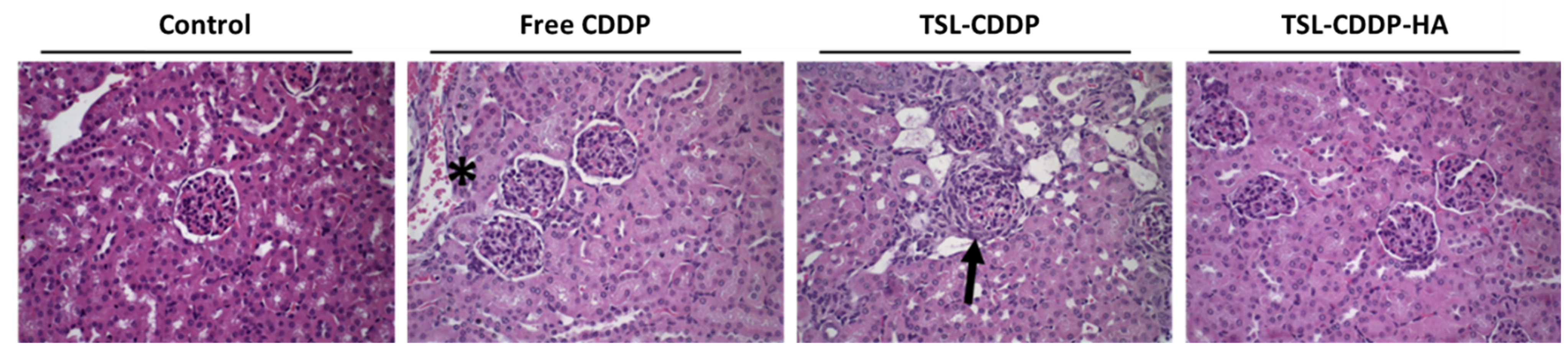 Pharmaceutics 15 00583 g005 Pharmaceutics 15 00583 g005