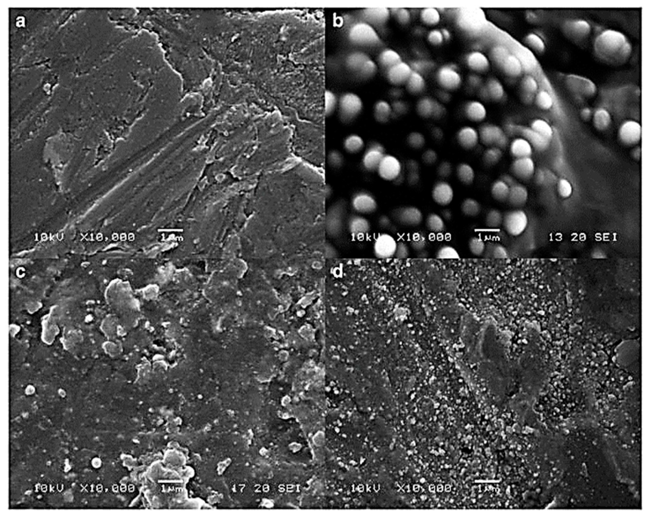 Pharmaceutics 15 00587 g004 Pharmaceutics 15 00587 g004