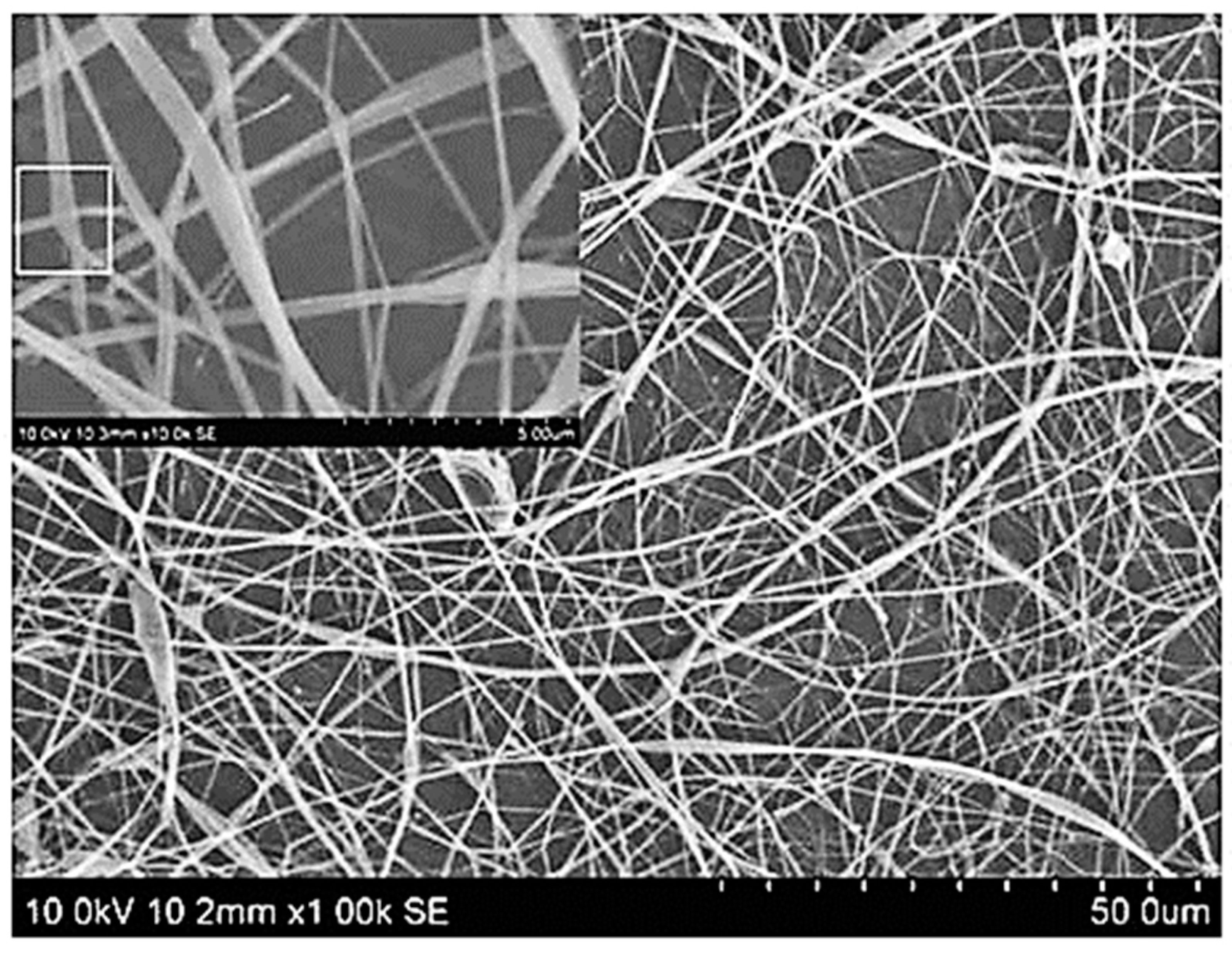 Pharmaceutics 15 00587 g007 Pharmaceutics 15 00587 g007