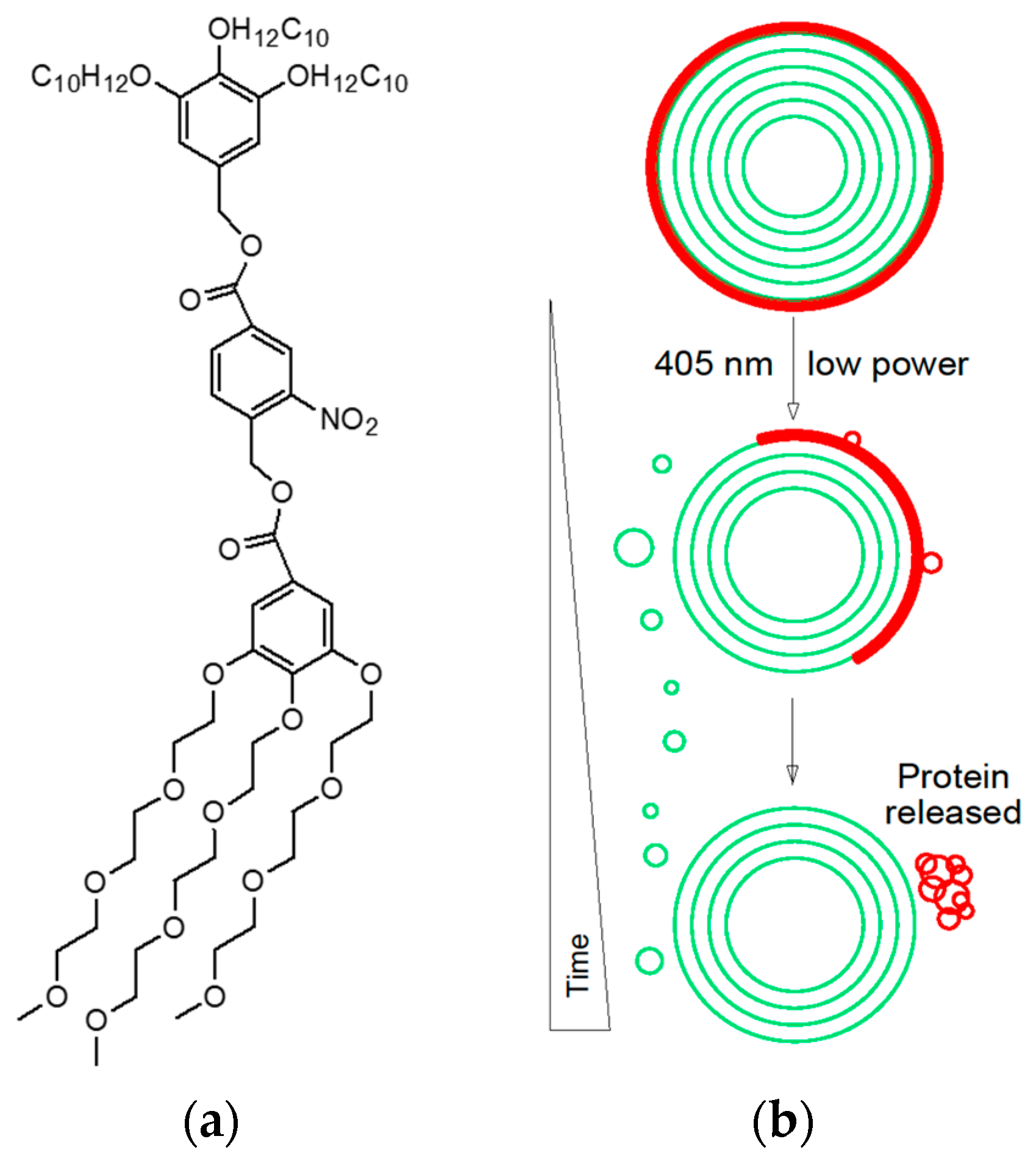 Pharmaceutics 15 00589 g007 550