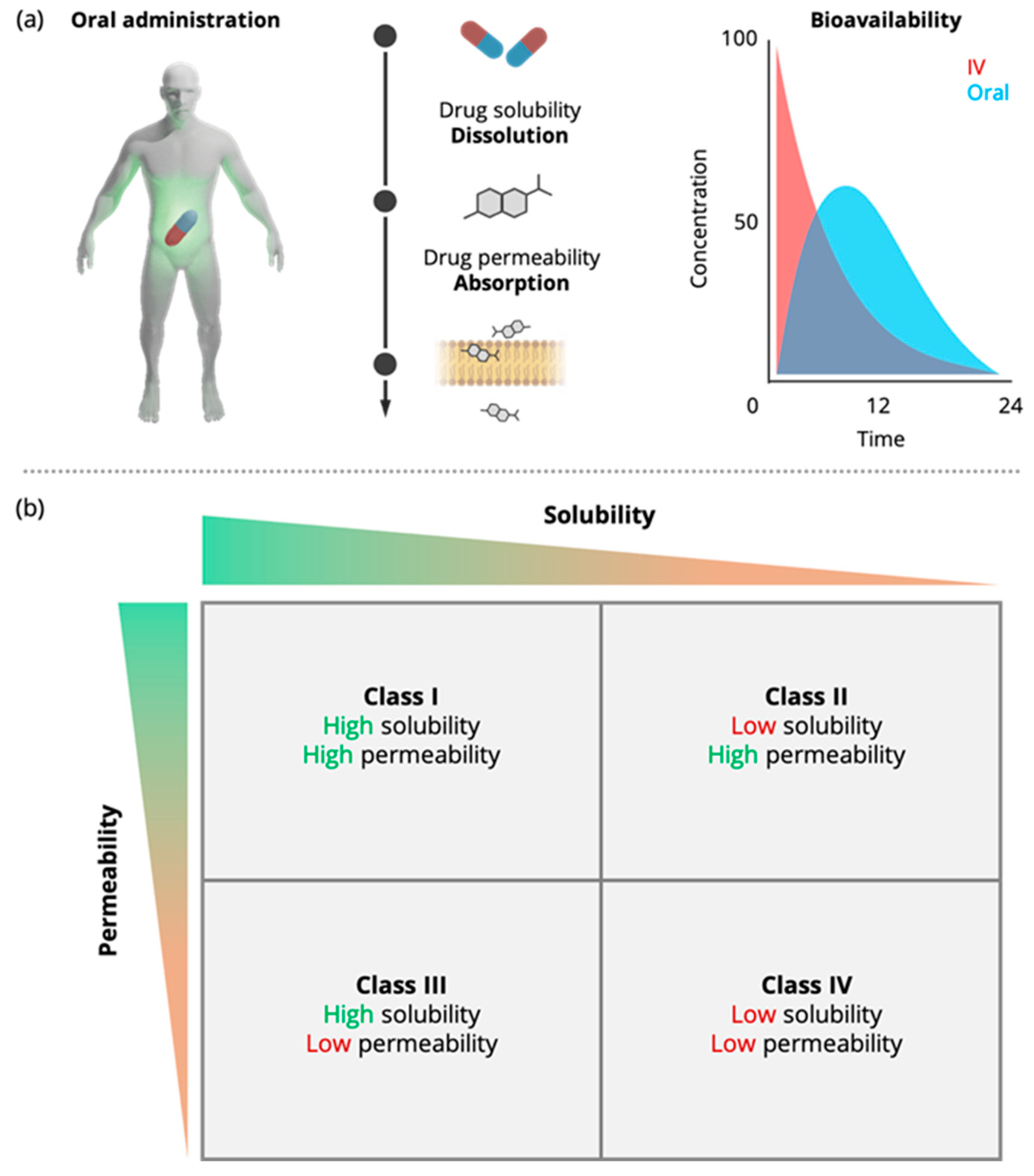Pharmaceutics 15 00592 g001
