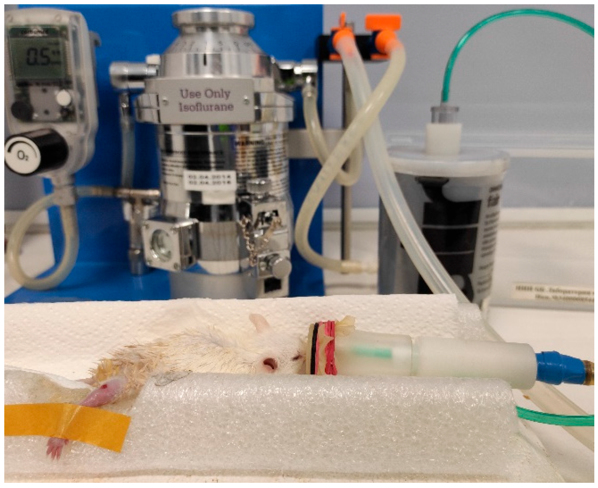 Pharmaceutics 15 00595 g001 Pharmaceutics 15 00595 g001