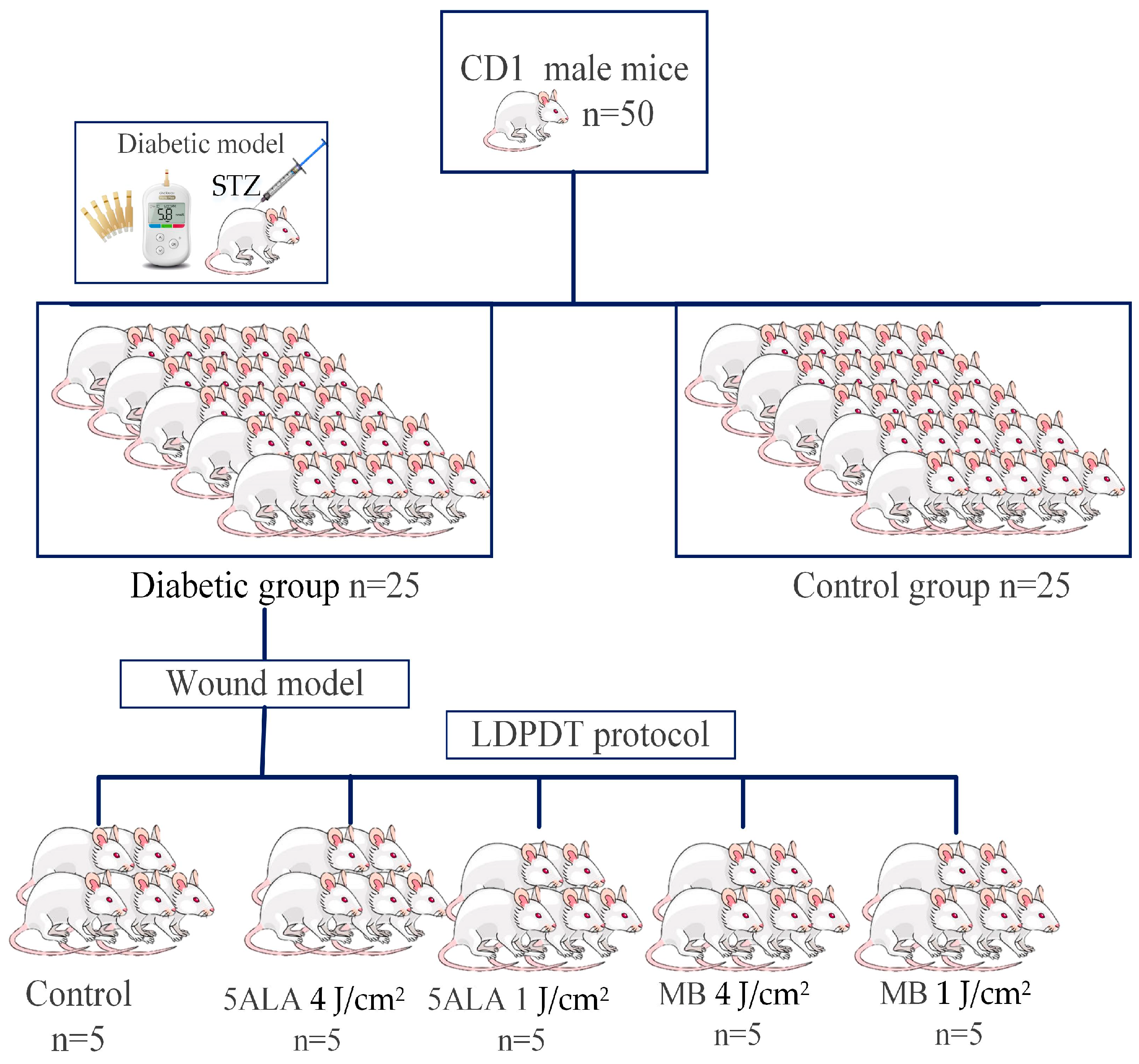 Pharmaceutics 15 00595 g002 Pharmaceutics 15 00595 g002
