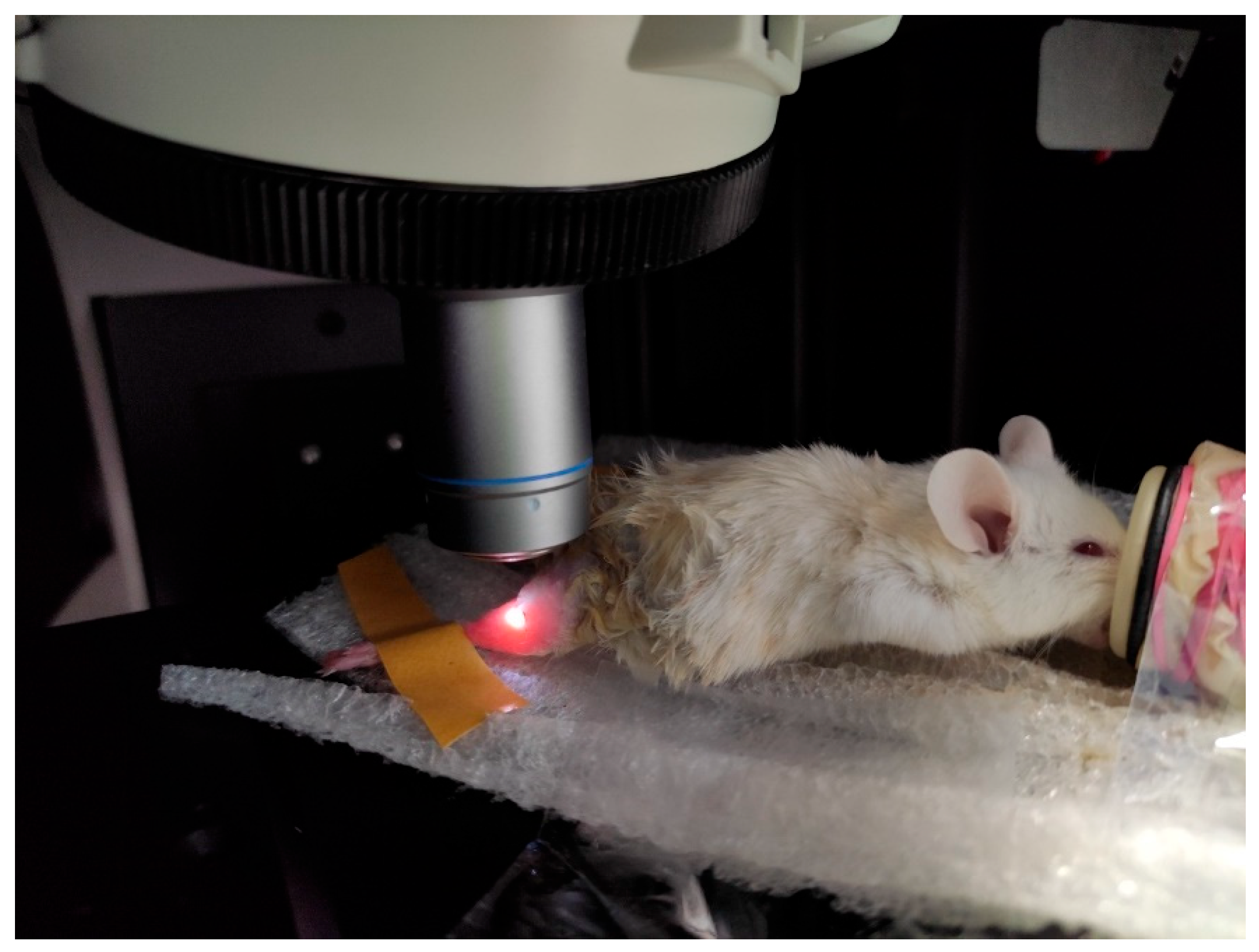 Pharmaceutics 15 00595 g003 Pharmaceutics 15 00595 g003