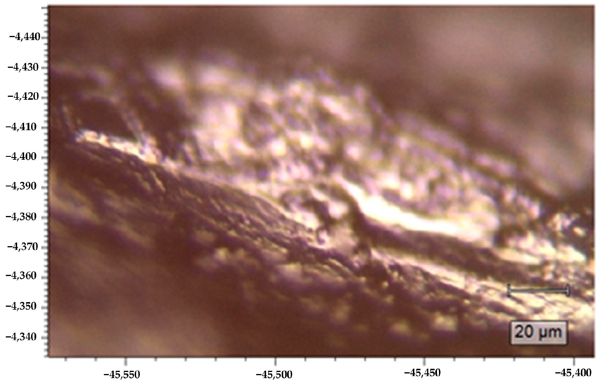 Pharmaceutics 15 00595 g004 Pharmaceutics 15 00595 g004