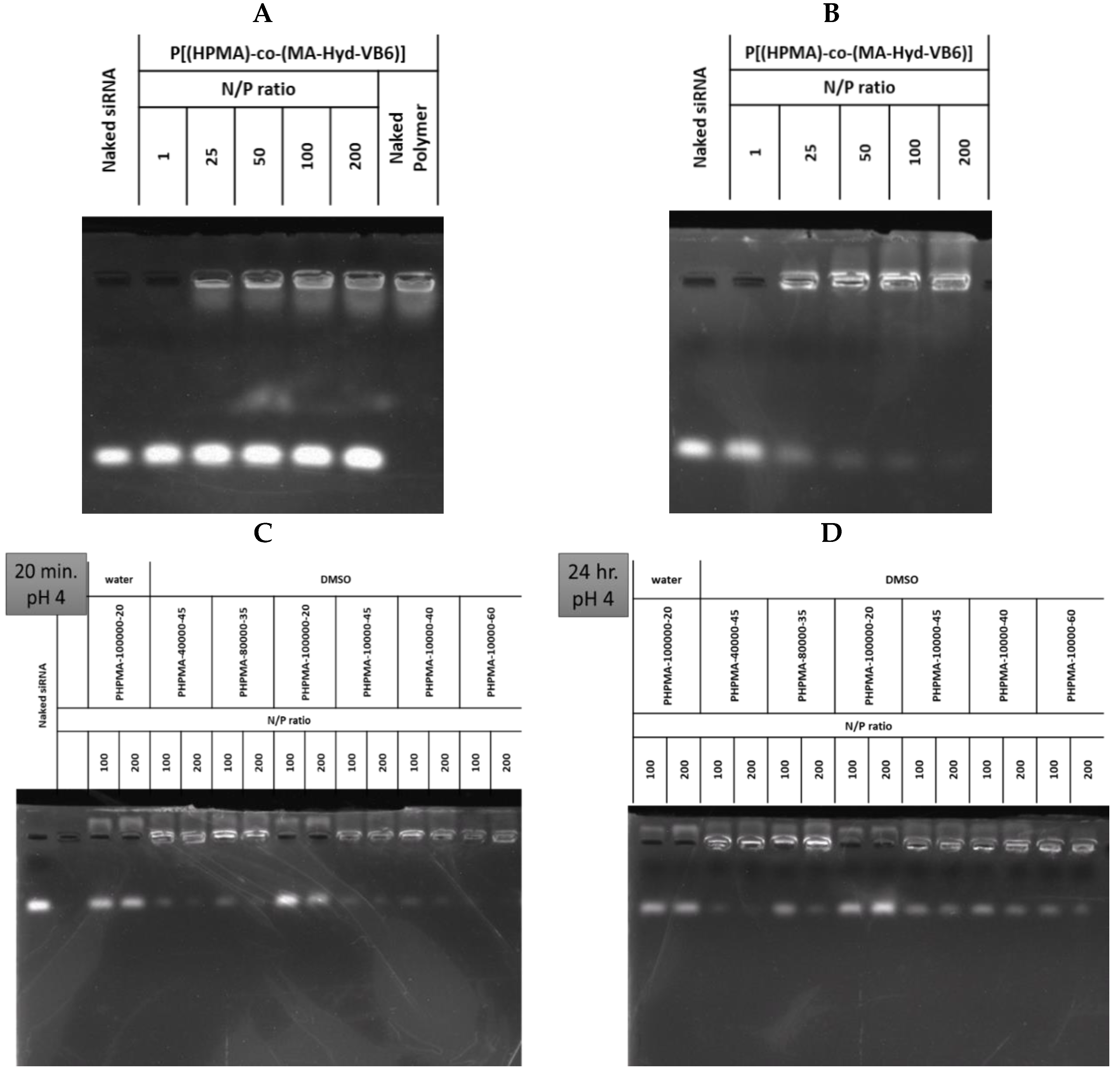 Pharmaceutics 15 00596 g002 Pharmaceutics 15 00596 g002