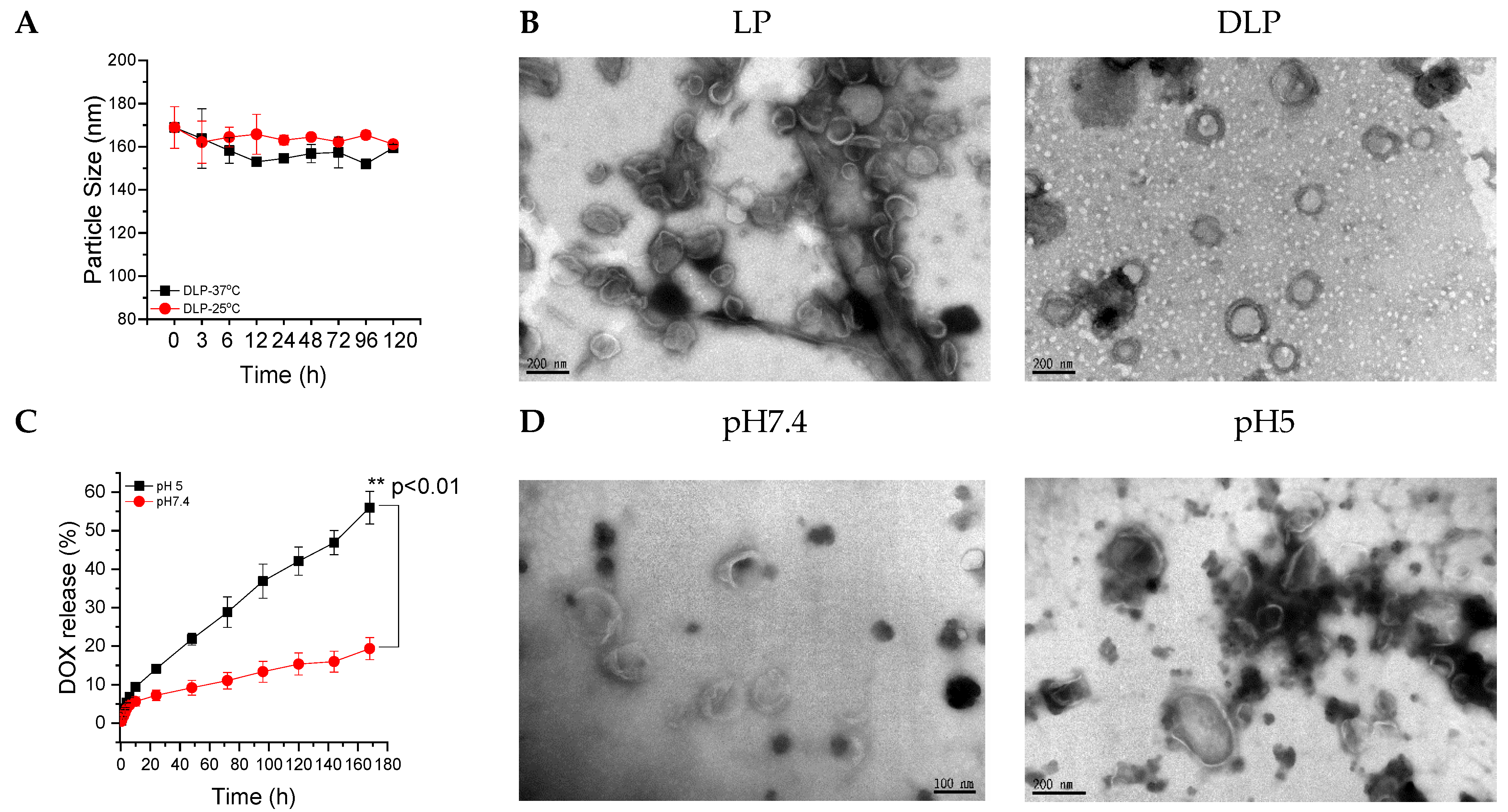 Pharmaceutics 15 00596 g003 Pharmaceutics 15 00596 g003