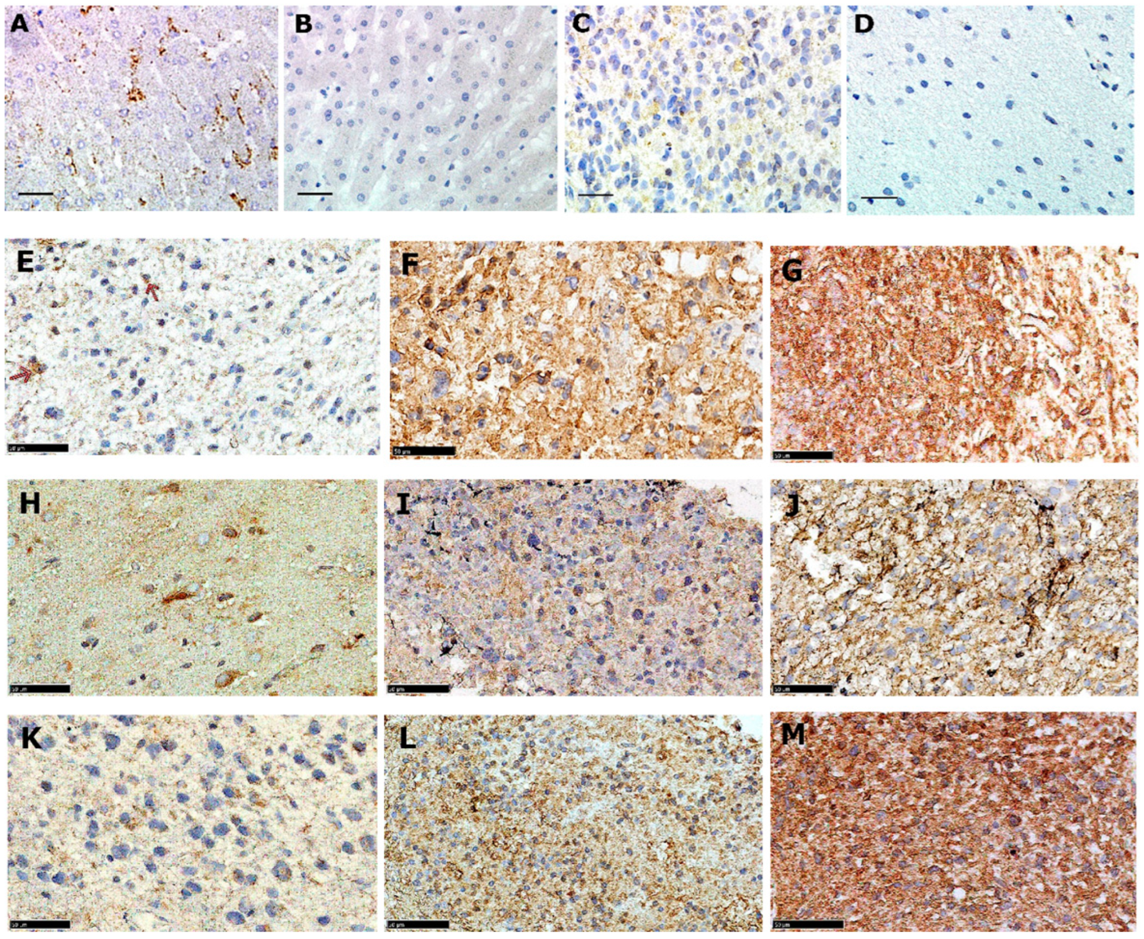 Pharmaceutics 15 00599 g001