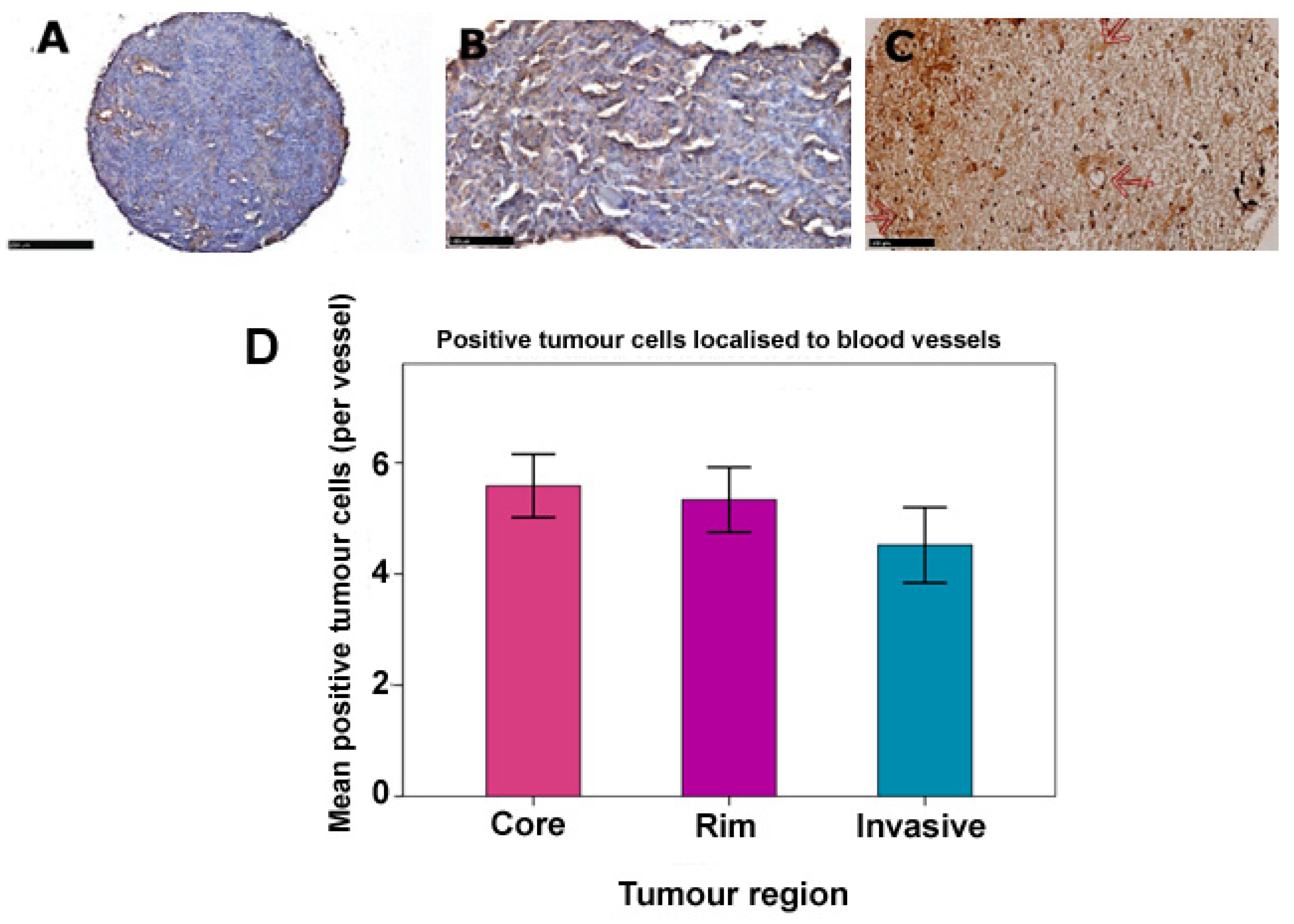 Pharmaceutics 15 00599 g003