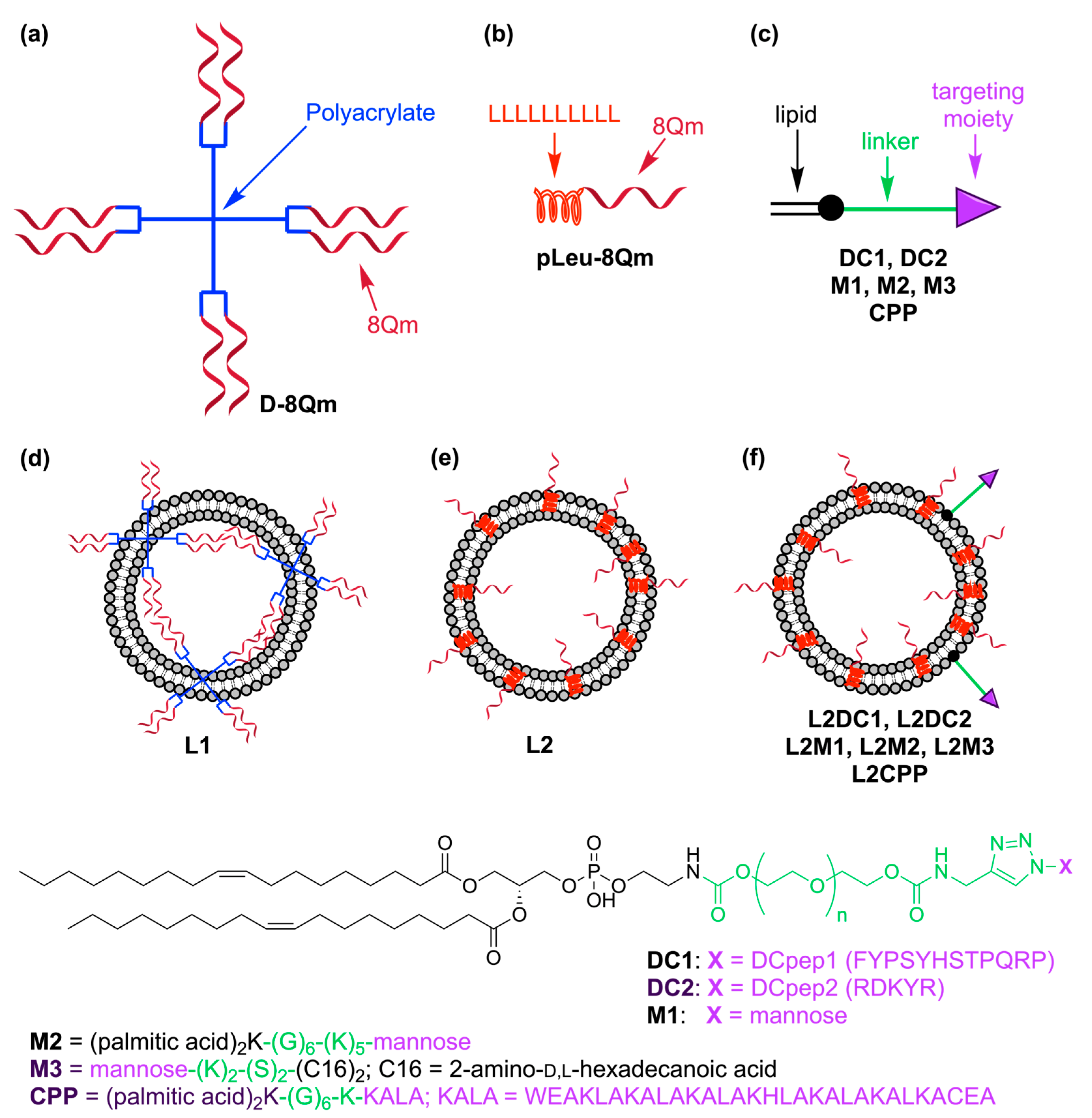 Liposomal Formulations of a Polyleucine–Antigen Conjugate as