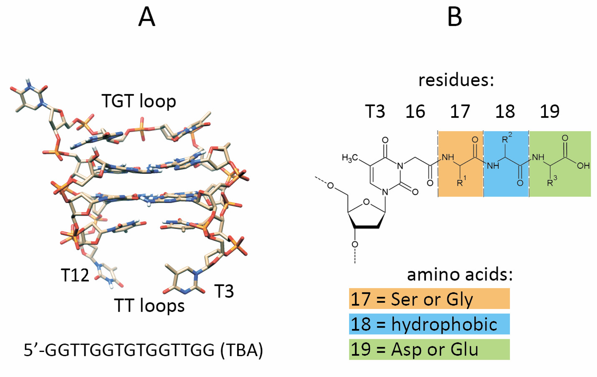 Pharmaceutics 15 00604 g001