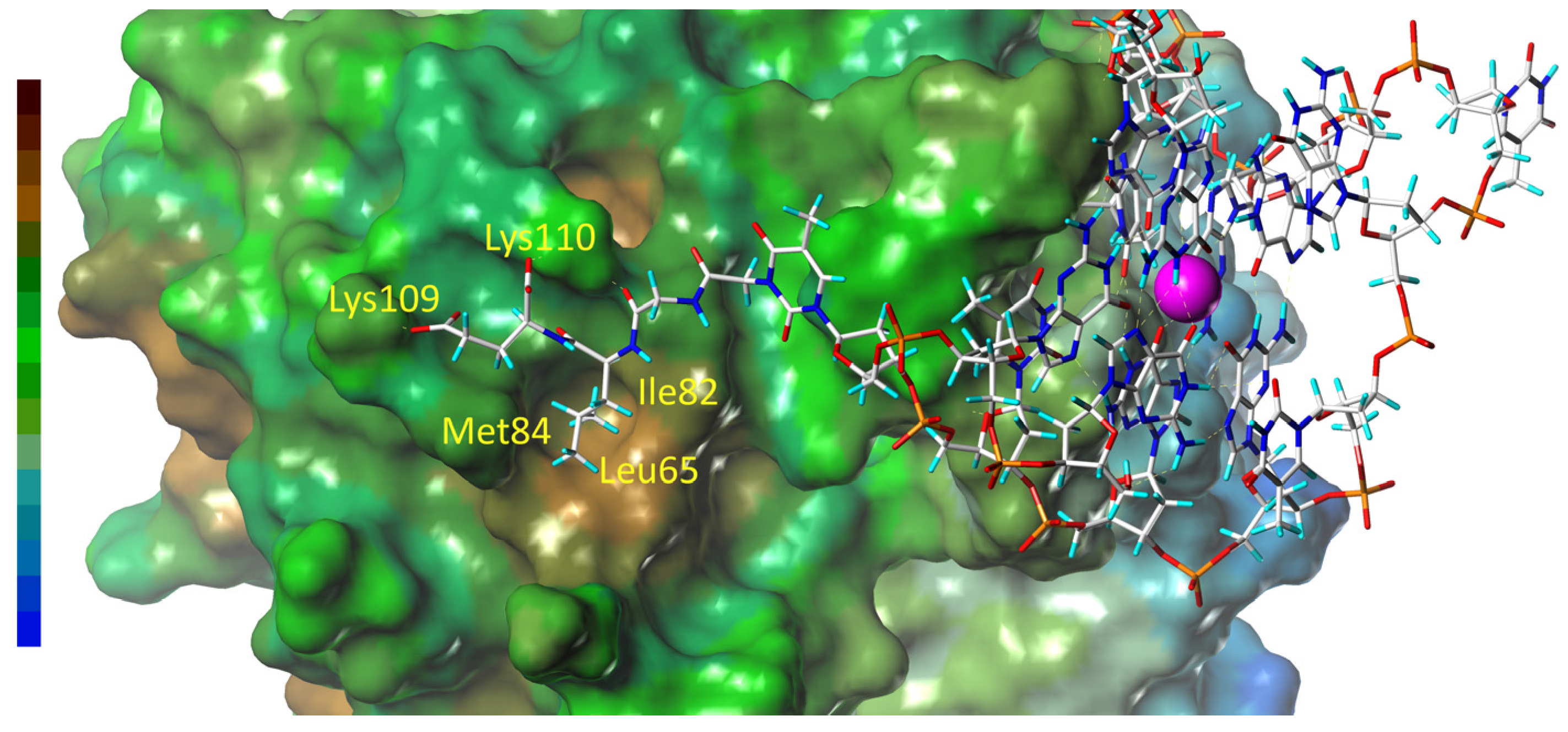 Pharmaceutics 15 00604 g005