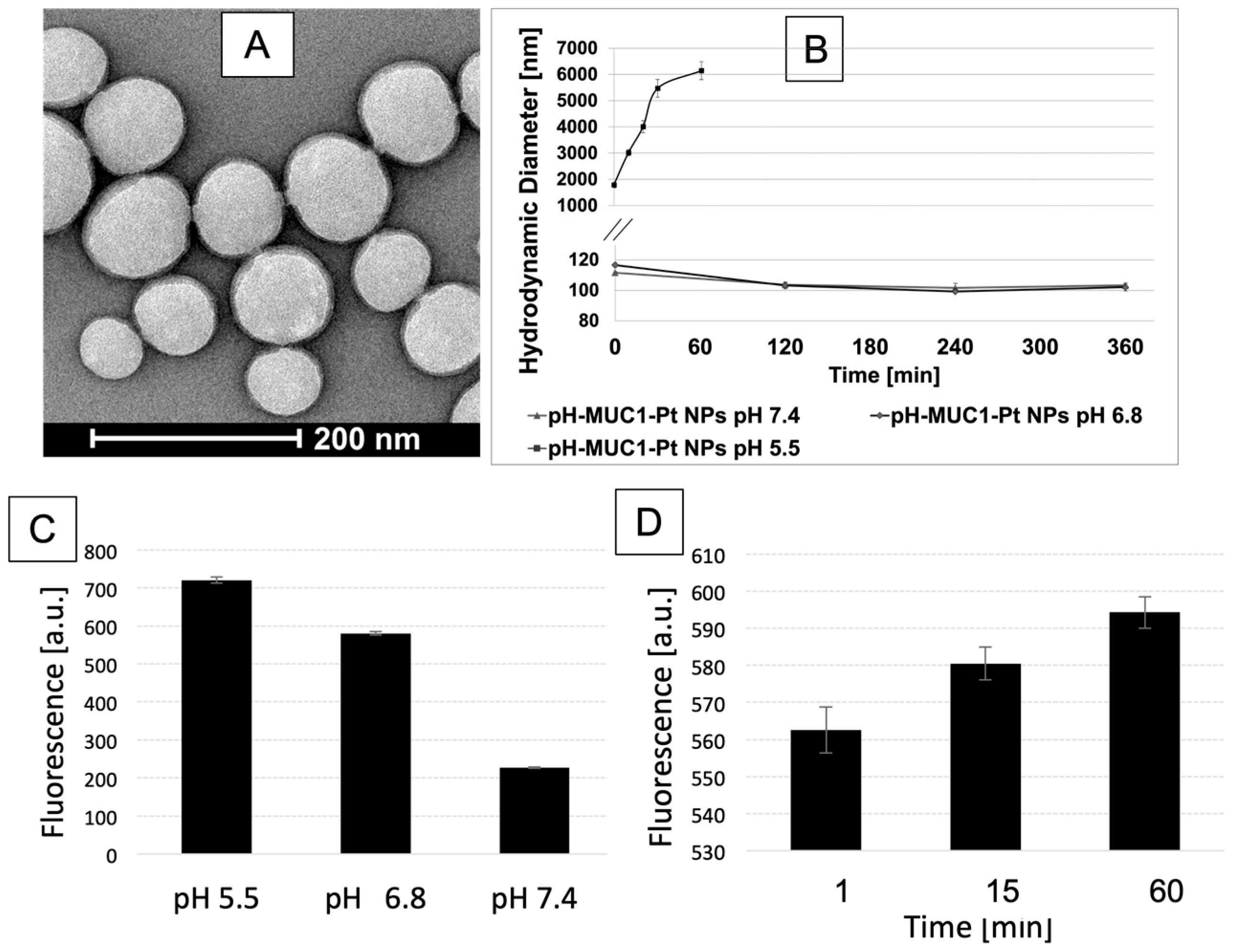 Pharmaceutics 15 00607 g002 Pharmaceutics 15 00607 g002