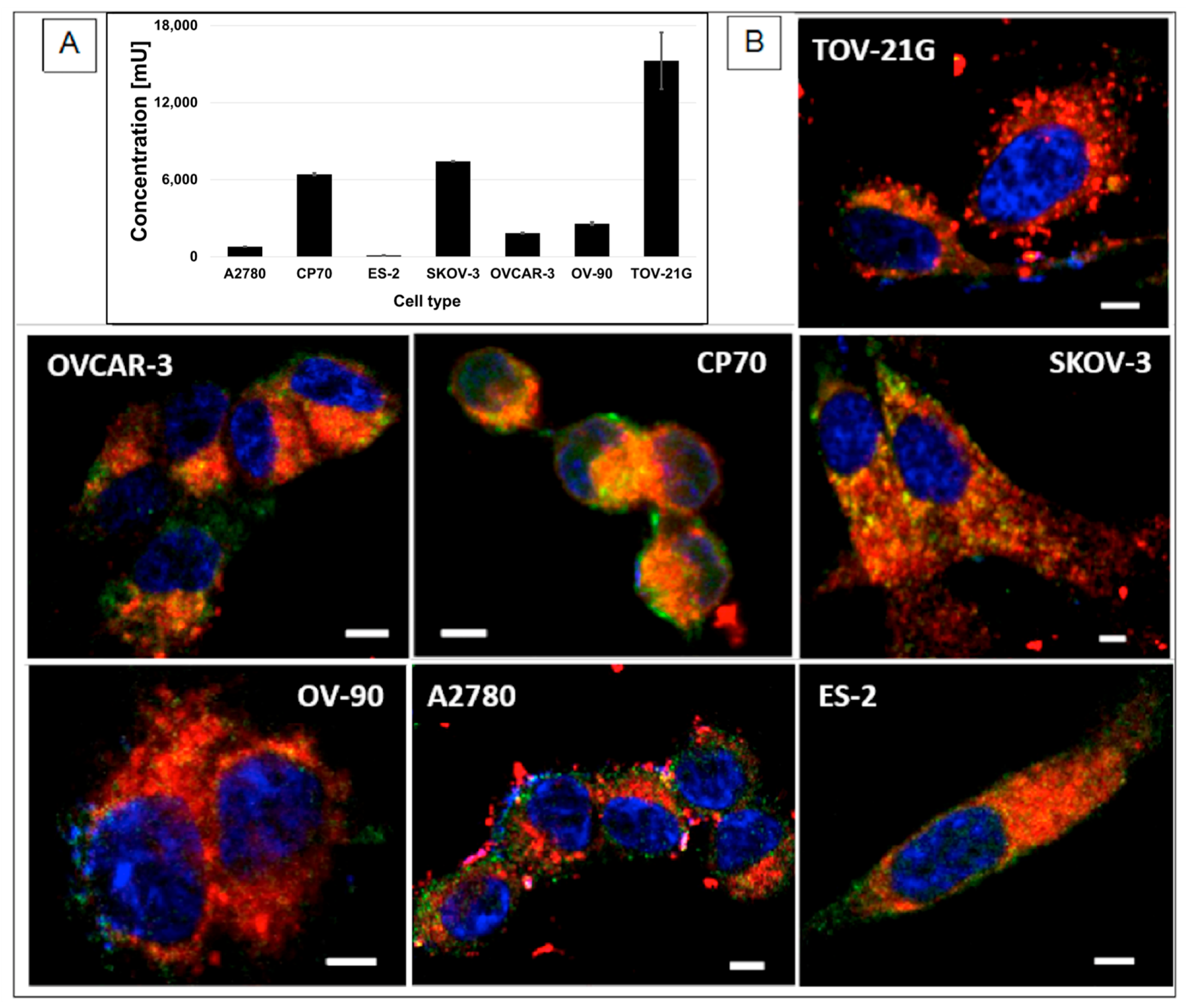 Pharmaceutics 15 00607 g004 Pharmaceutics 15 00607 g004